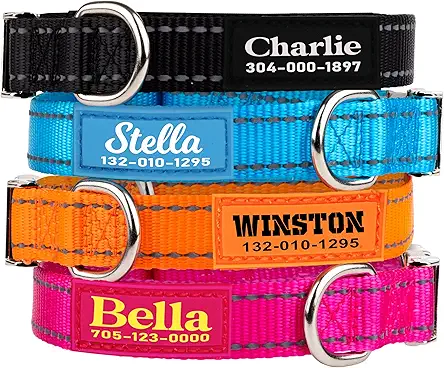 pawblefy Personalized Dog Collars - Reflective Nylon Collar...