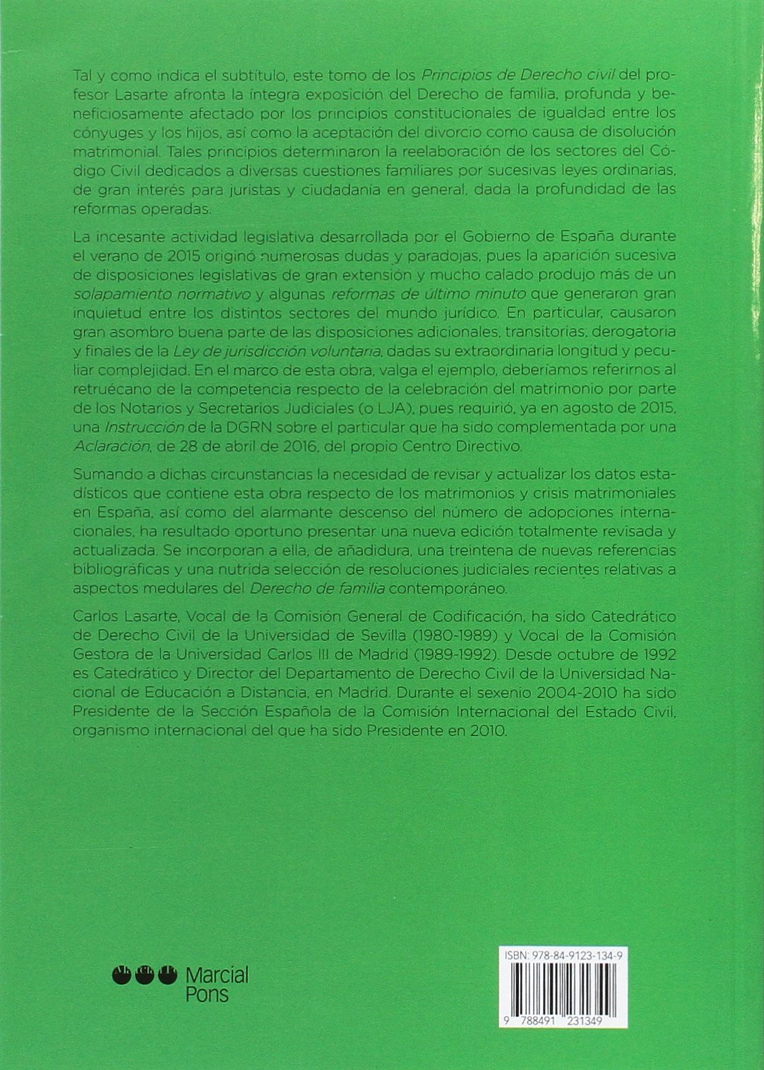 Principios de Derecho civil Tomo VI: Derecho de familia: 6 (Manuales universitarios)