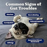 Vista 3 de Solid Gold Probióticos para perros para la salud digestiva, probióticos para perros con fibra y enzimas digestivas para apoyo intestinal y salud