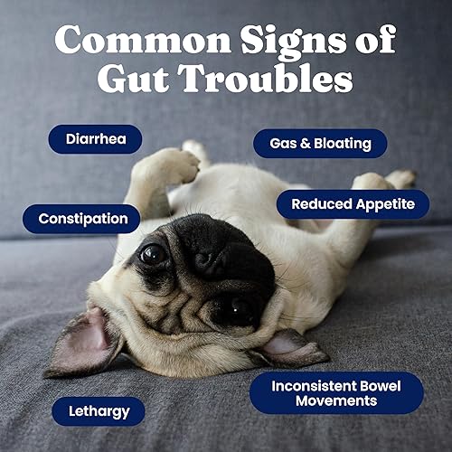 Miniatura 3 de Solid Gold Probióticos para perros para la salud digestiva, probióticos para perros con fibra y enzimas digestivas para apoyo intestinal y salud