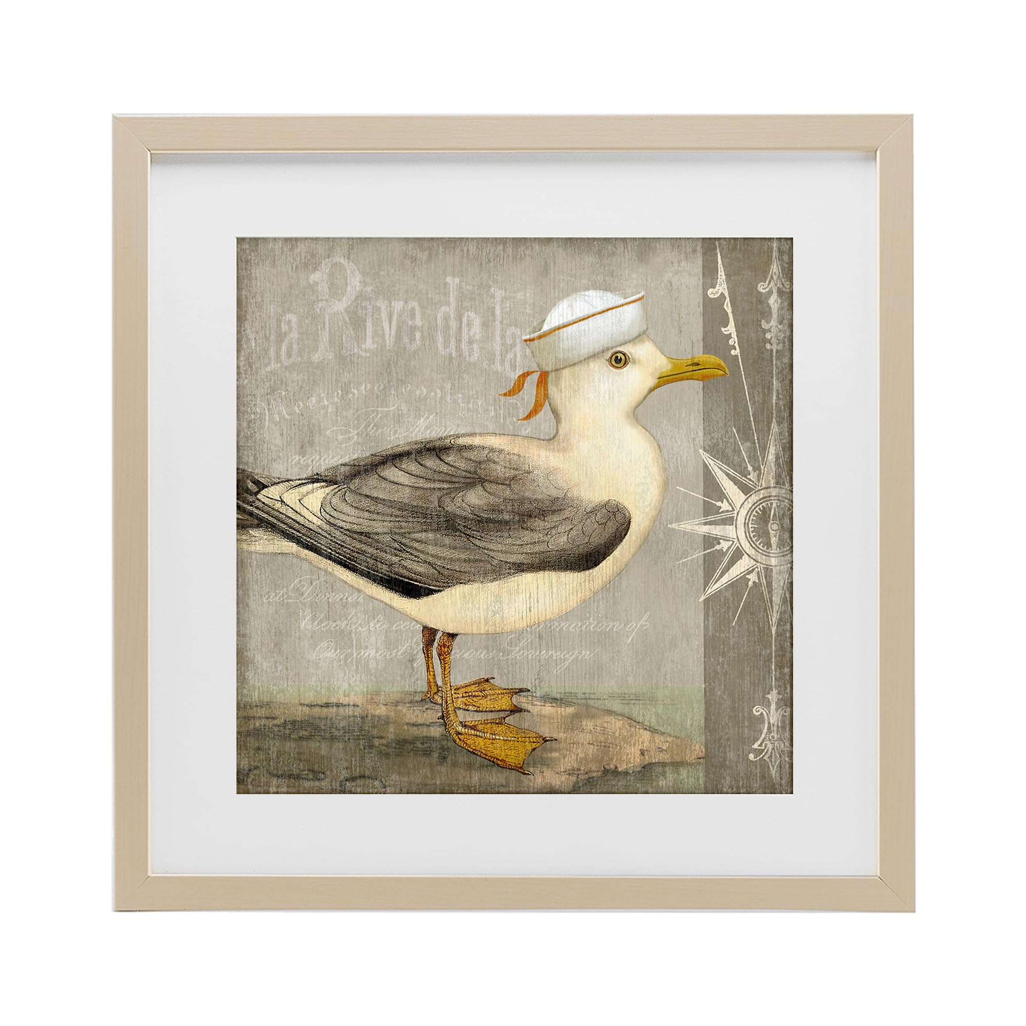 Stupell Industries Vintage Seagull Nautical Compass 'Rustic Little Seagull', Framed Print Under Glass, Brown, 16 X 16 Inches, Easy To Hang And Sturdy, Made In Usa, By Suzanne Nicoll