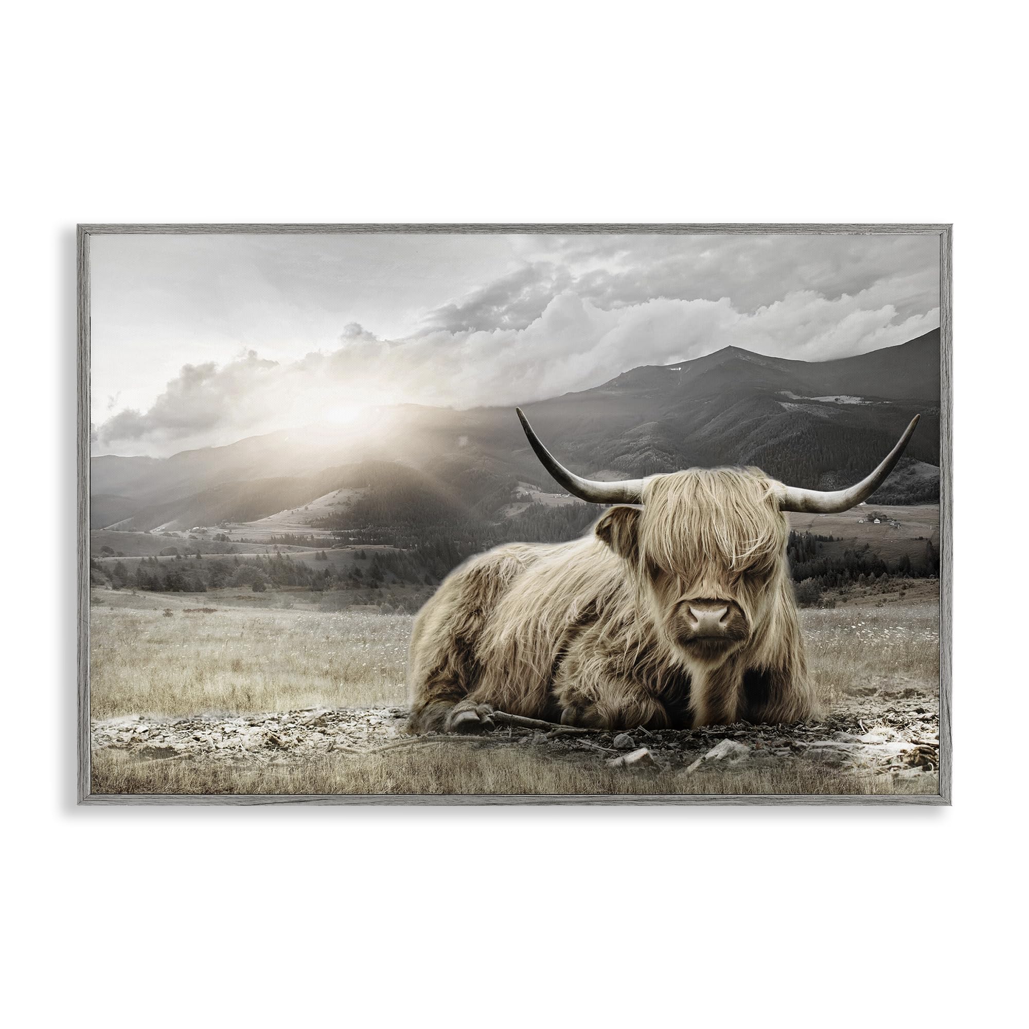 'Cattle Resting in Morning Sun'| Framed Giclee Art