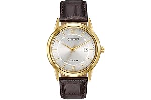 Men's Classic Citizen Eco-Drive Leather Band Watch