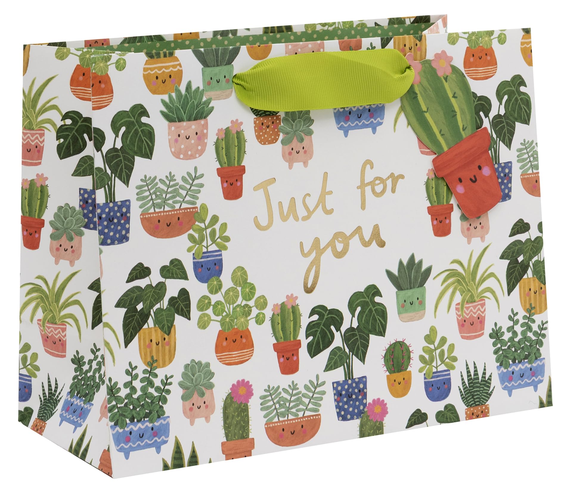 Glick Medium Landscape Gift Bag - Planty Pals Design - 225 x 175 x 100mm