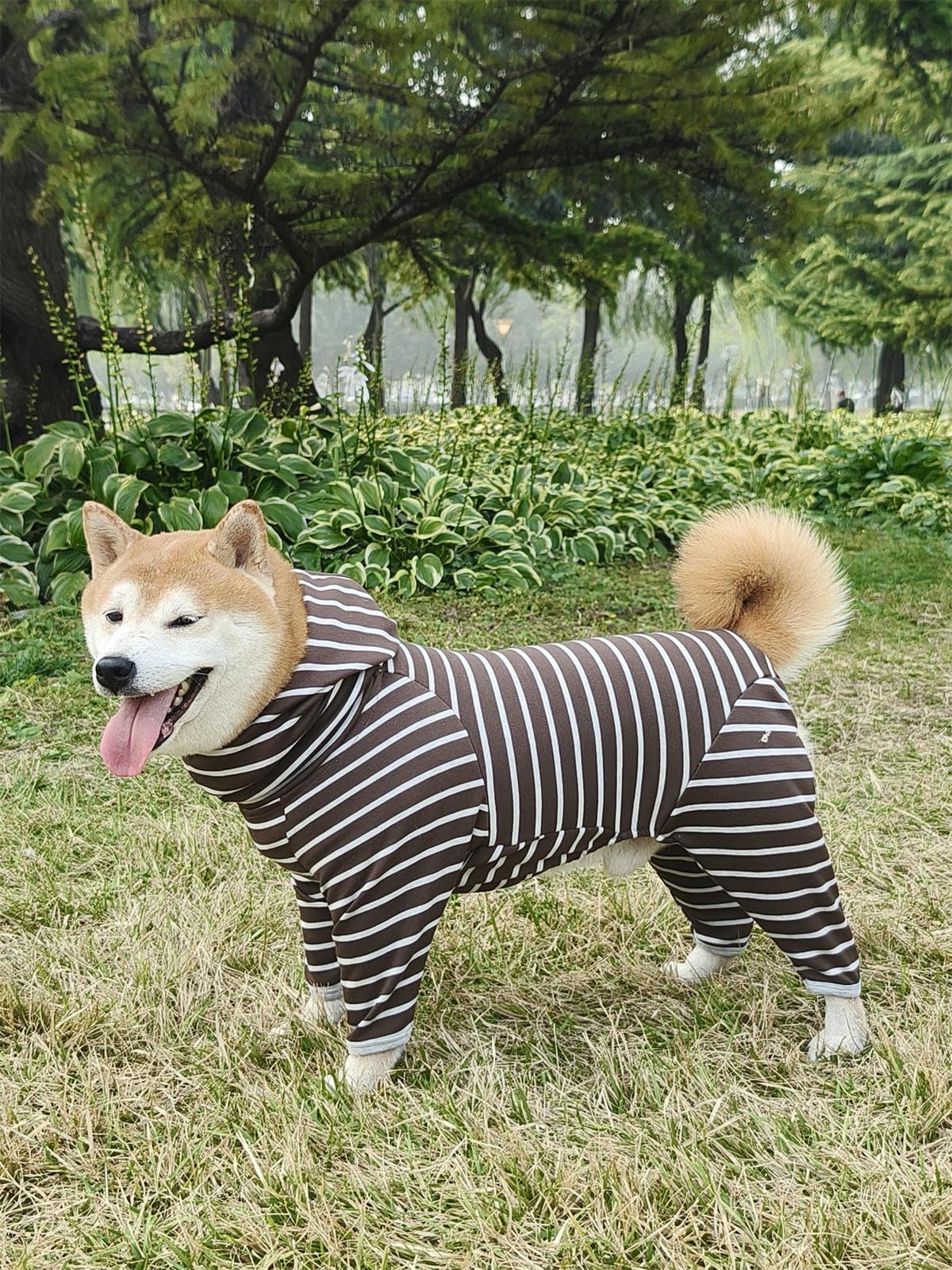 Felpa Con Cappuccio Per Cani Sportiva Alla Moda Felpe A Tutina Dolcevita A Righe Classiche Cappotto Per Cani Tuta Con Cappuccio E Maniche Lunghe A Quattro Zampe