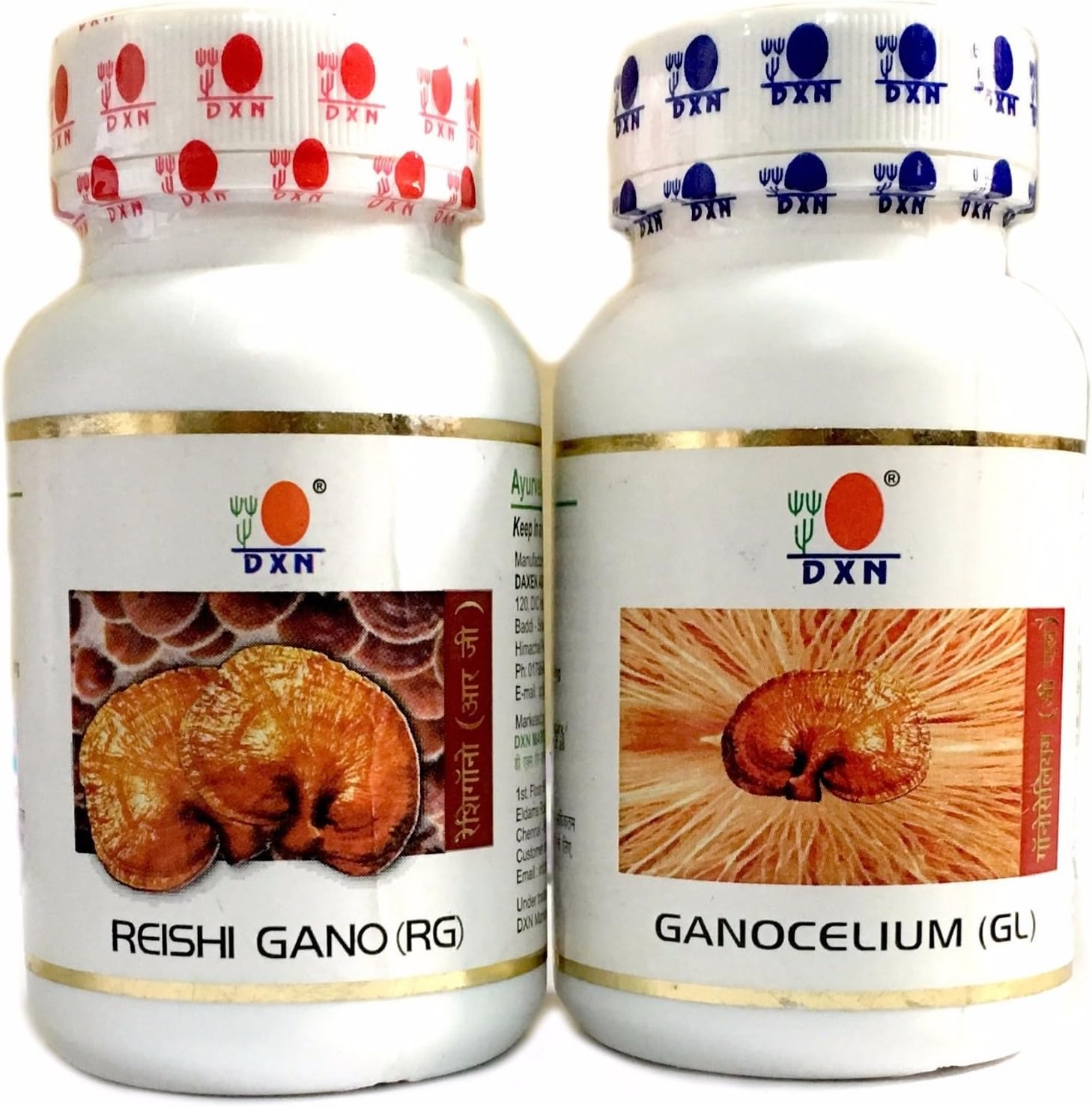 Reishi Ganoderma and Ganocelium Capsules, Fruit and Root, RG and GL (90 + 90 Capsules)