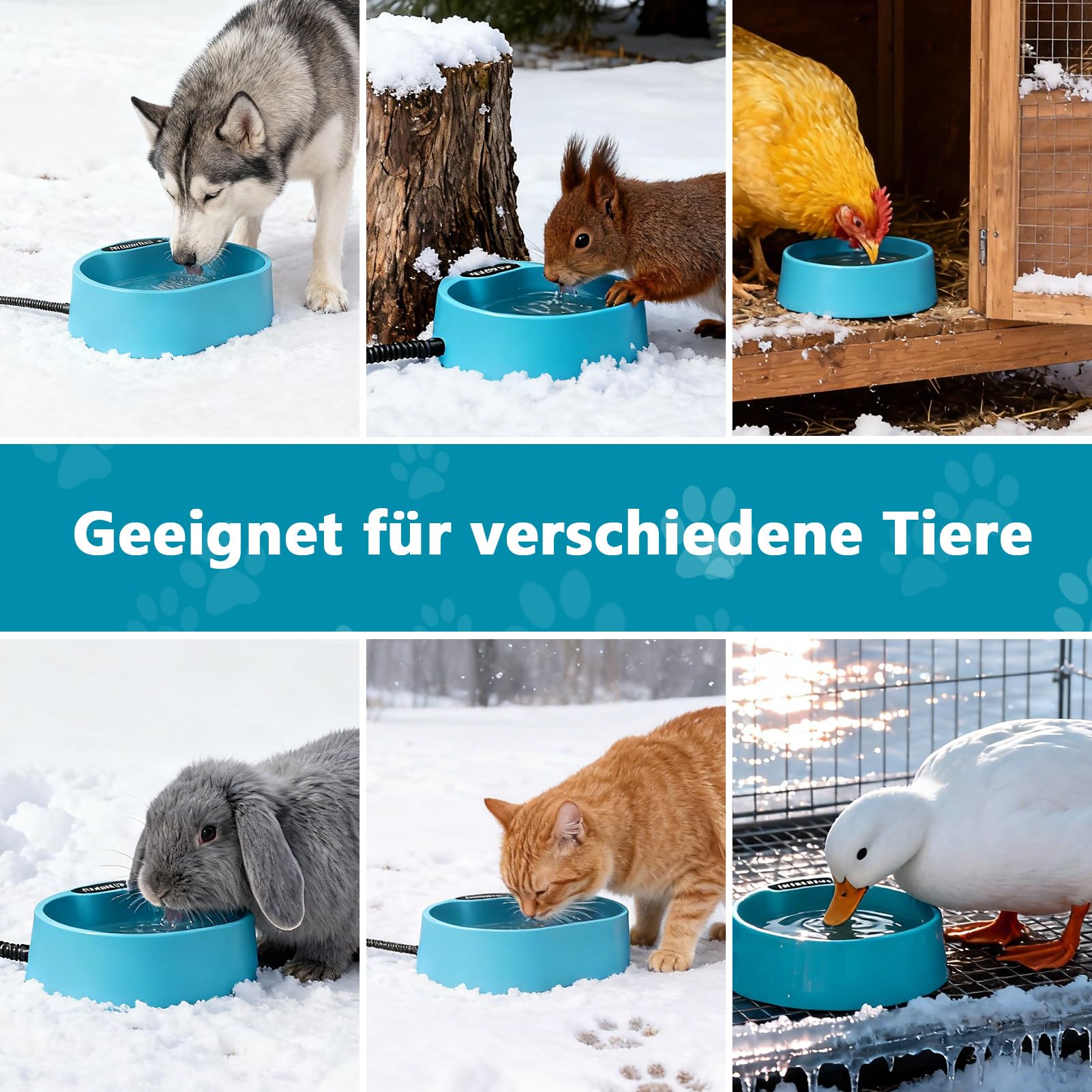 Beheizter Wassernapf 3,7 L Frostschutz Hunde Katzen Hühner, 35 °c Konstante Temperatur, Beheizter Wassernapf Hunde Mit 2m/6.56ft Anti-Biss-Kabel, Wasserdicht, Ideal Für Winter, Balkon, Stall, Garten