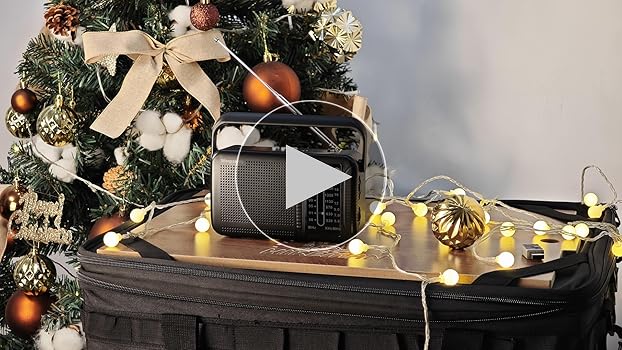 Amazon.com: Portable AM FM Shortwave Transistor Radio, Retro
