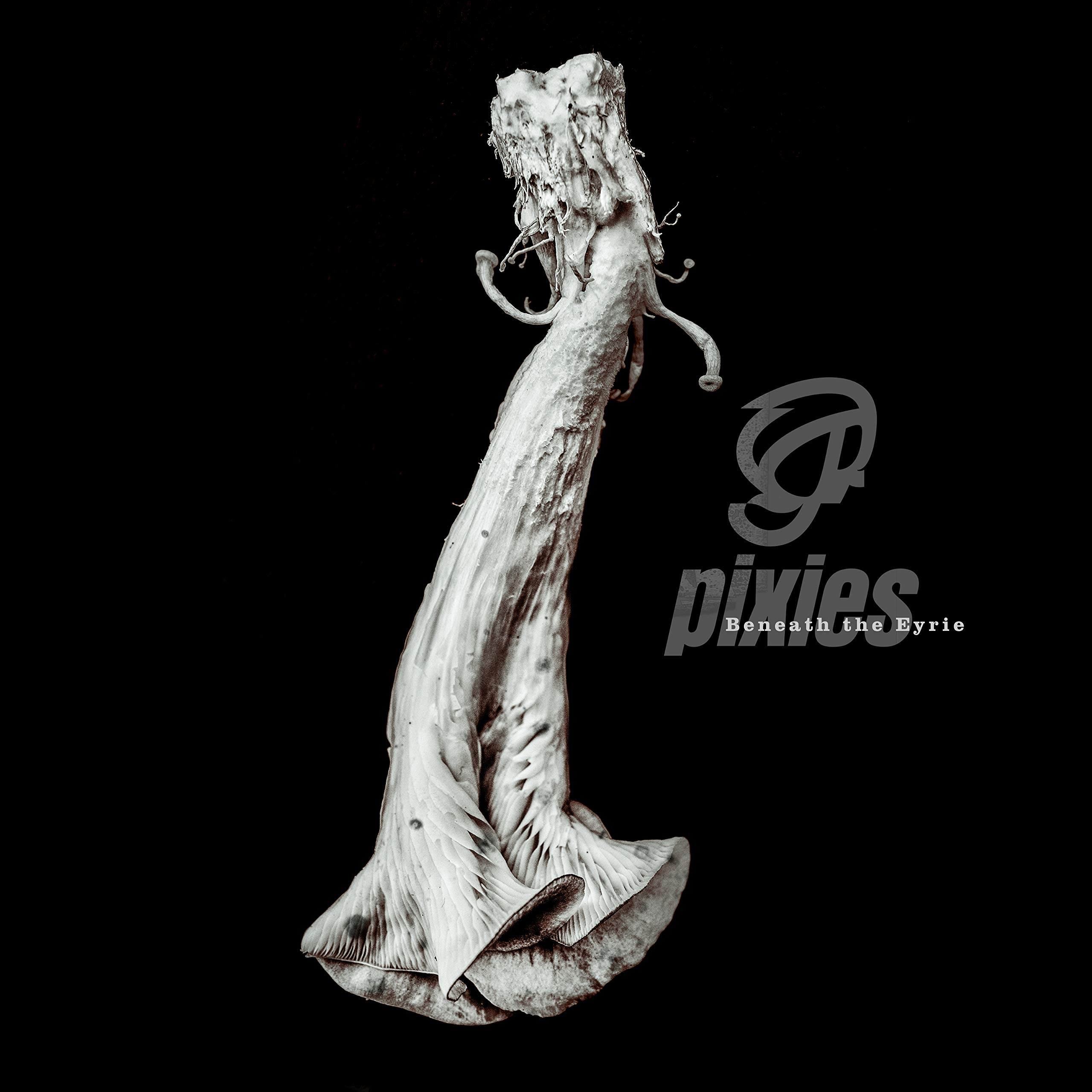 PIXIES - Beneath The Eyrie - Vinyl (gatefold LP + MP3 download code)
