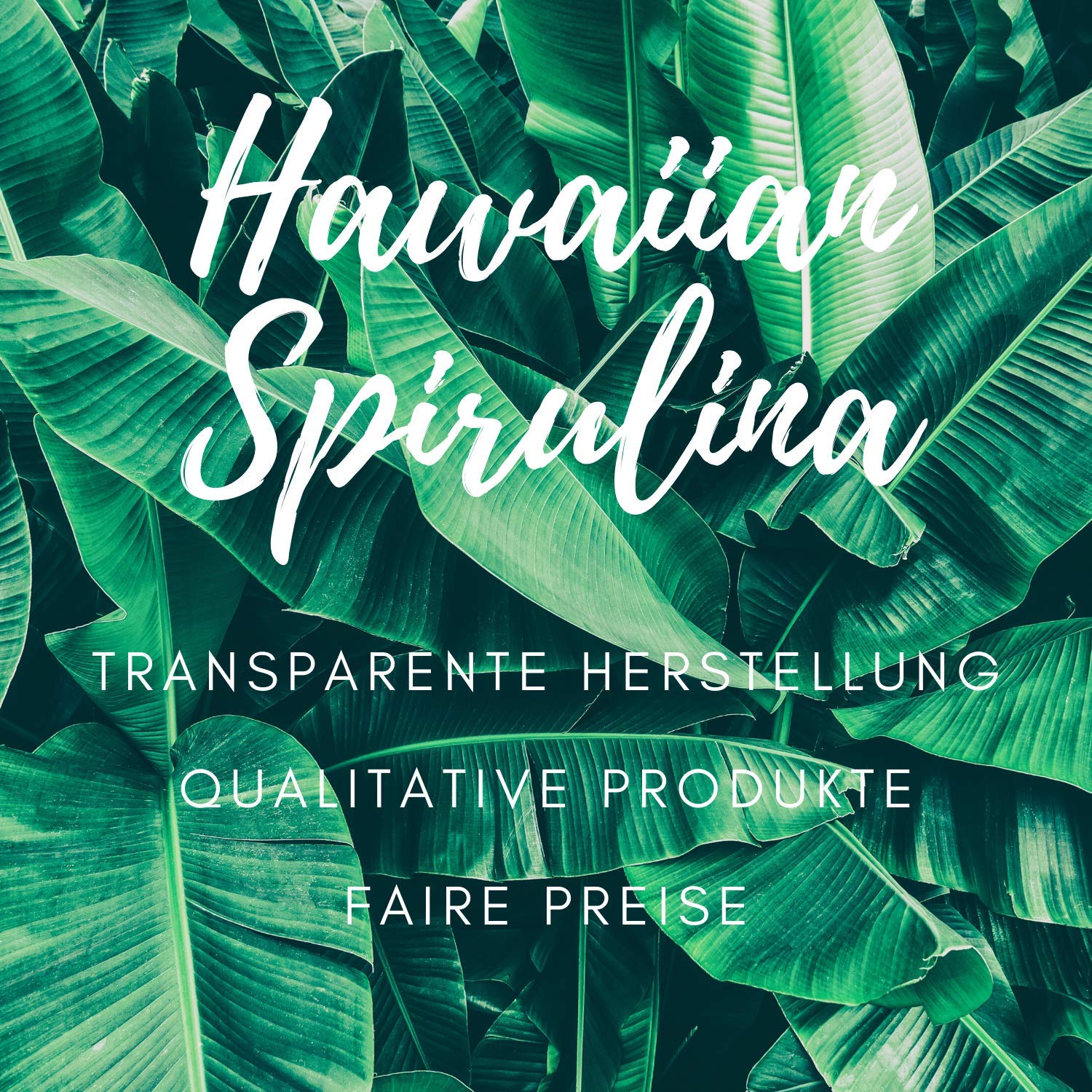 Original Hawaiian Spirulina I 500g Pulver I Ivarssons natürliches Spirulina getrocknet I Algen Pulver mit reinem Spirulina I Nachfüllpackung