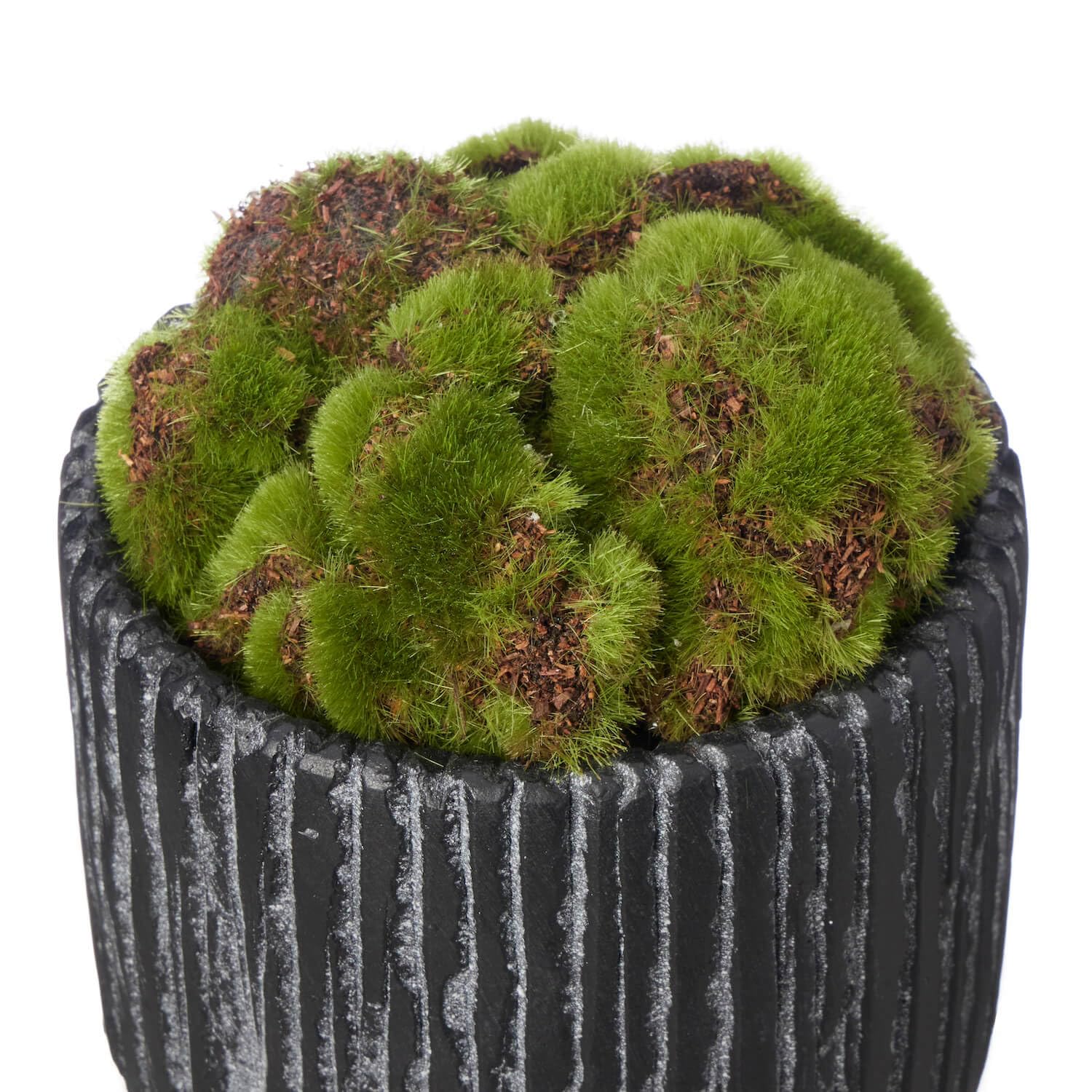Amazon｜CUP BON 苔盆 人工観葉植物 フェイクグリーン (苔盆S)｜人工