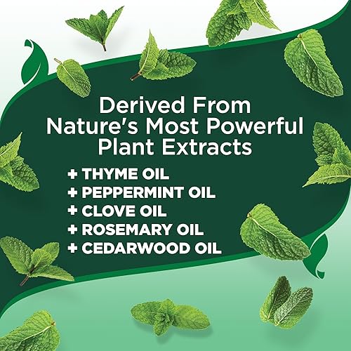 Miniatura 5 de Vets Best Champú para perros de fuerza avanzada para pulgas y garrapatas  Tratamiento de pulgas para perros  Fórmula a base de plantas  12 onzas