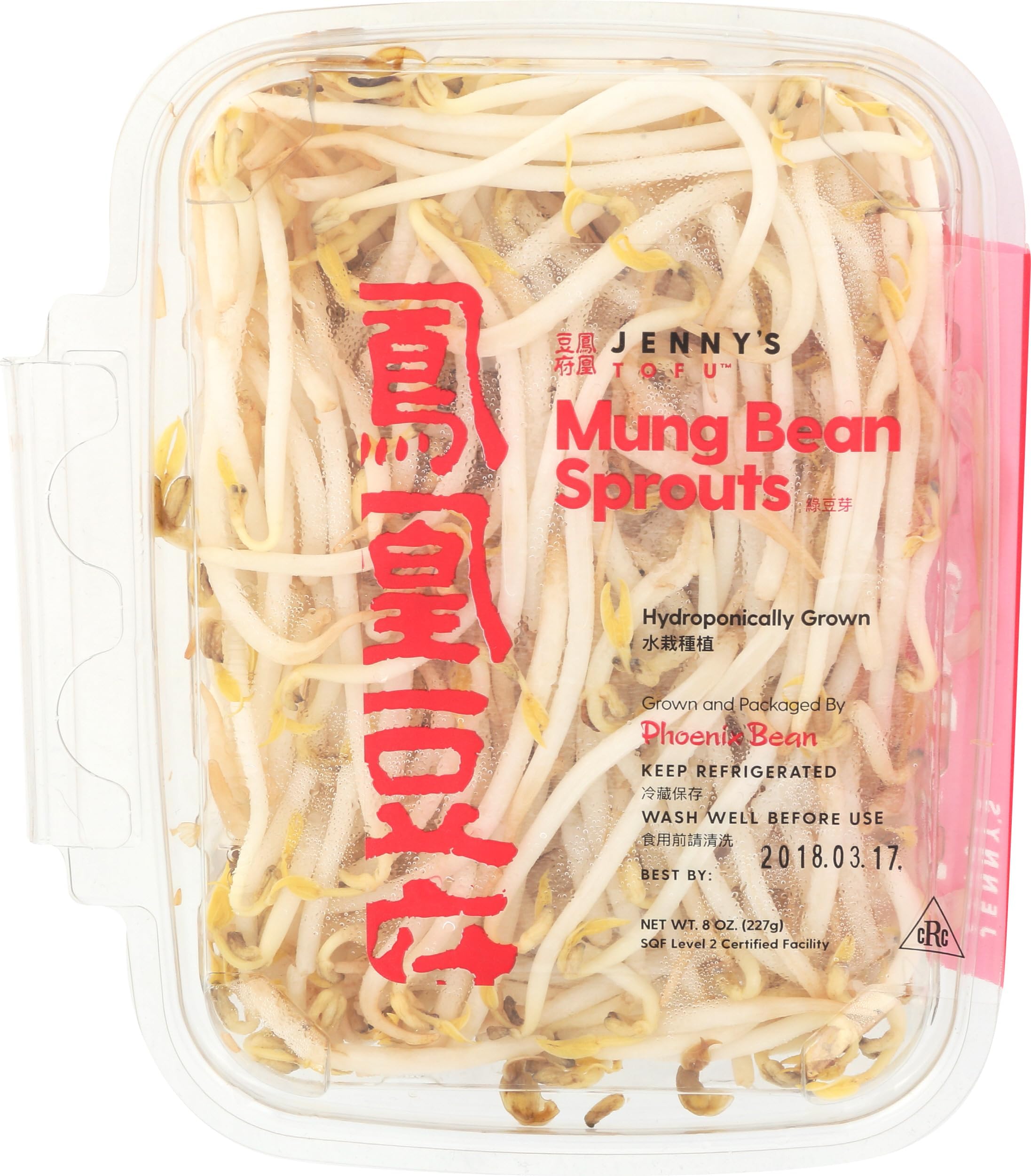 Mung Bean Sprouts, 8 ounce Grocery & Gourmet Food