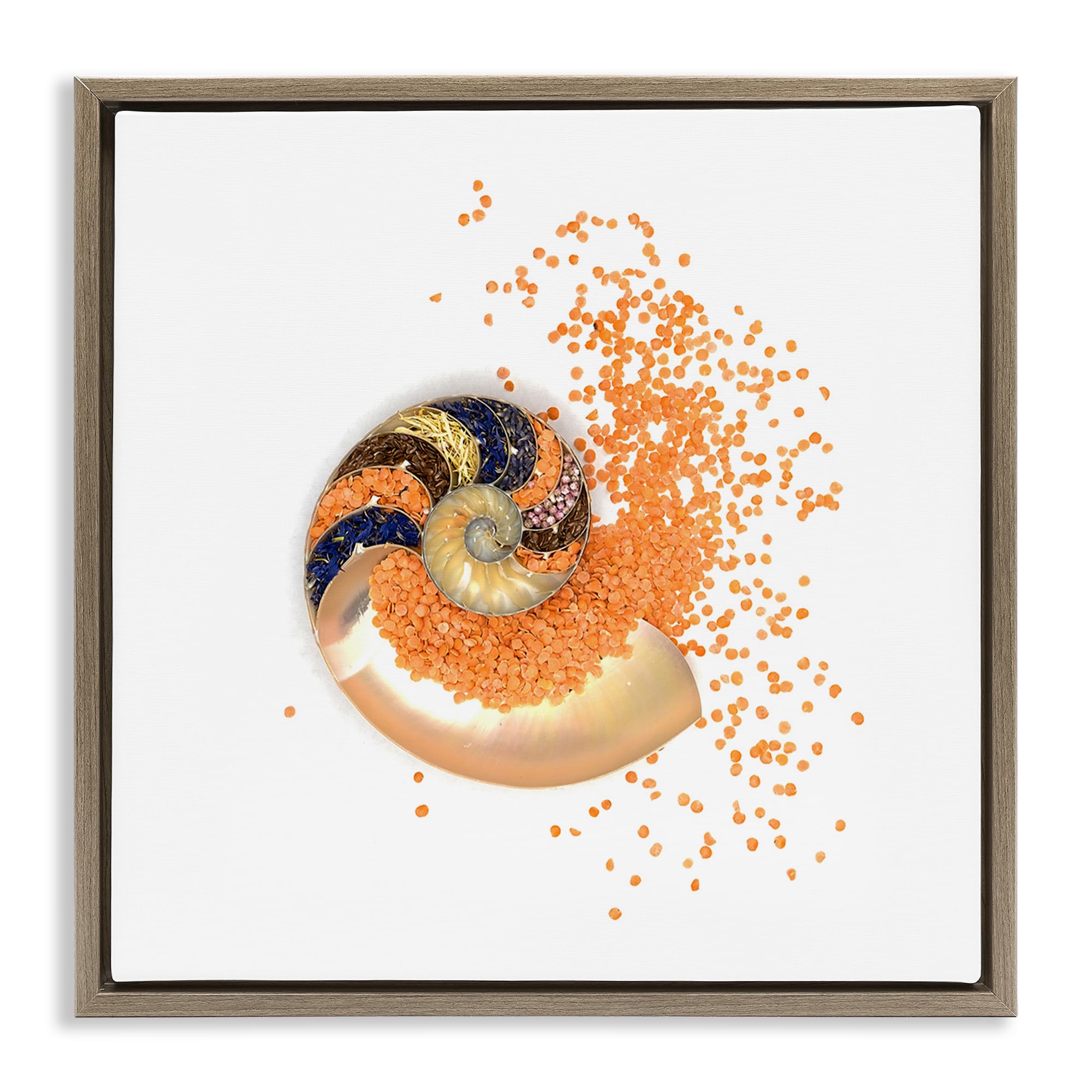 Nautical Orange Nautilus Spiral, 17 x 17 Inch Canvas in Floater Frame