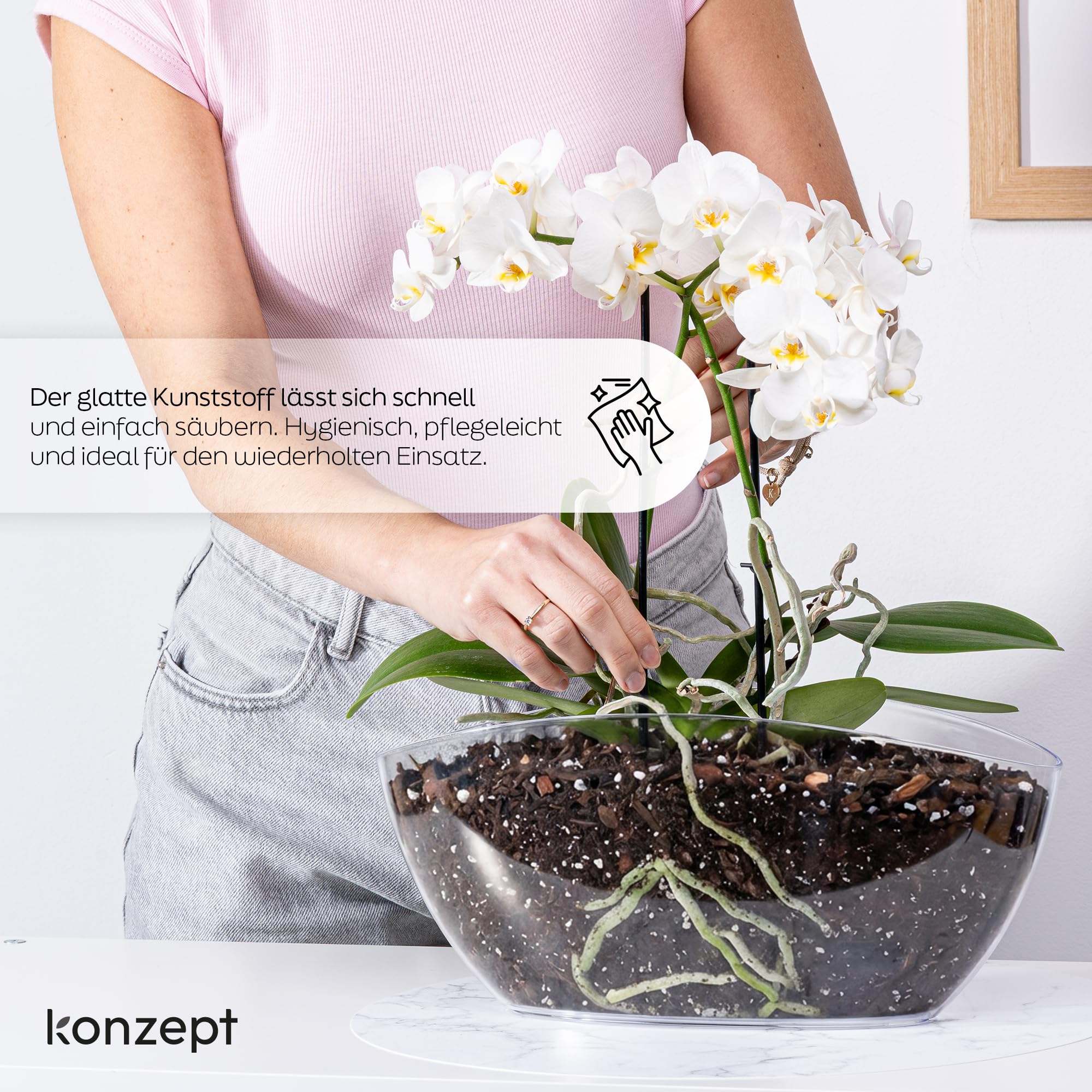 KONZEPT Blumentopf Gross Innen Übertopf für Orchideen Oval Transparent Schale Deko für Pflanzen & Sukkulenten Garten