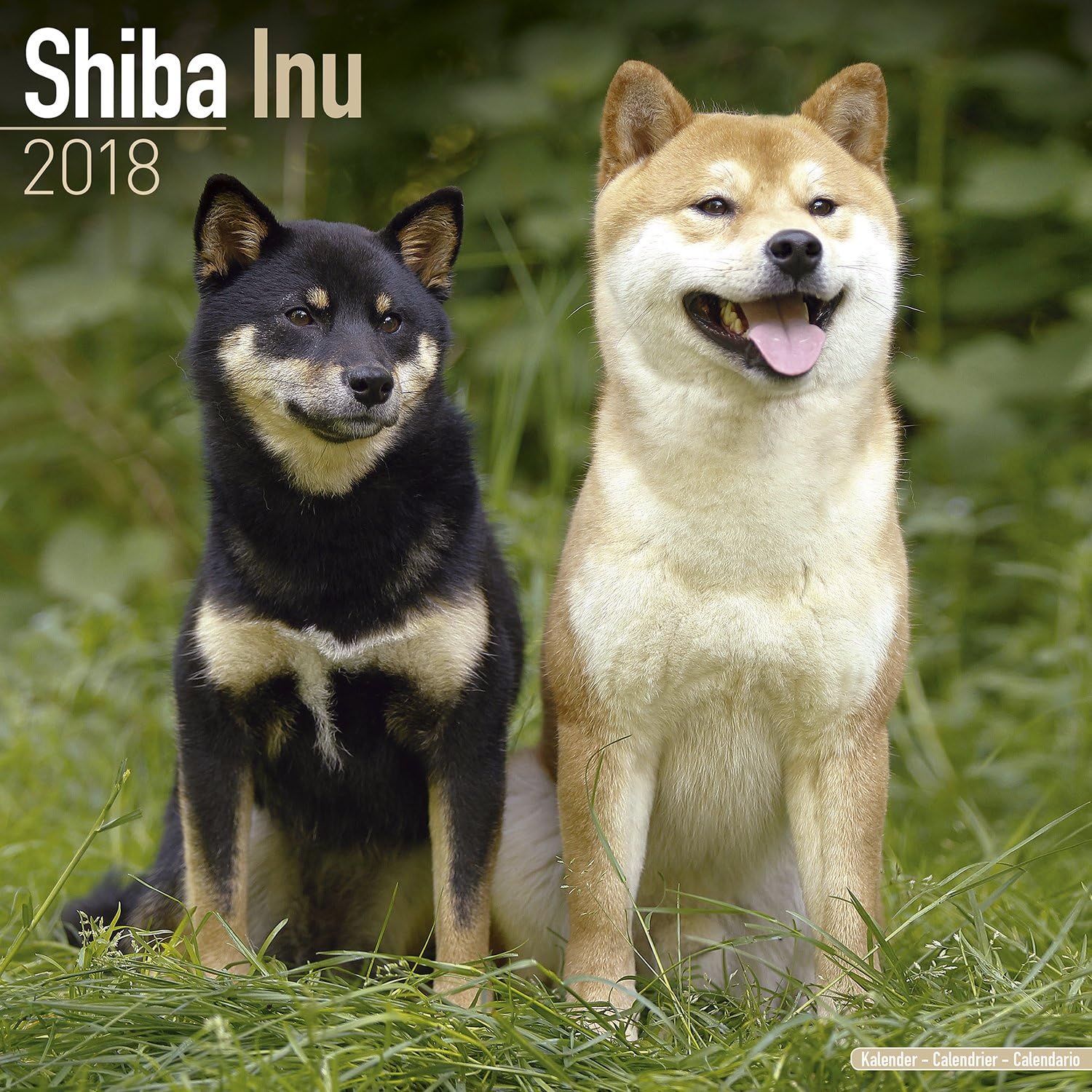 Shiba Inu Calendar Dog Breed Calendars 2017 2018 wall