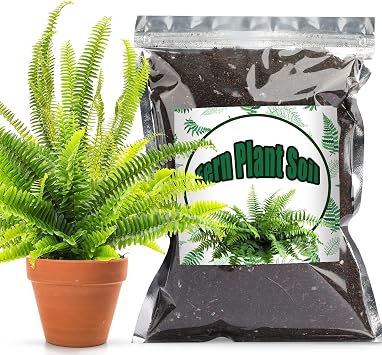 Doter Potting Soil Mix for Fern 2qt, Custom Hand Blended Mixture Suitable for Indoor/Outdoor Potted Fern Plant