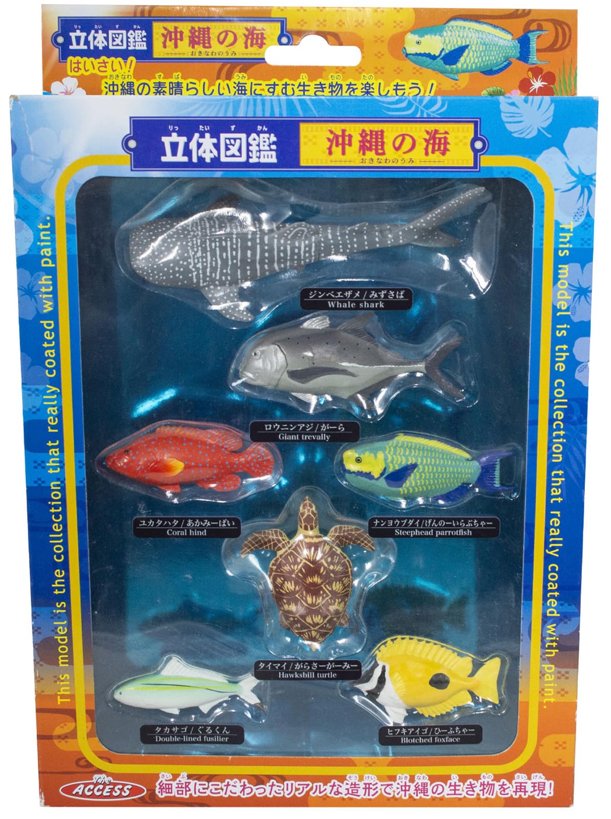 Amazon.co.jp: 立体図鑑 沖縄の海 : おもちゃ