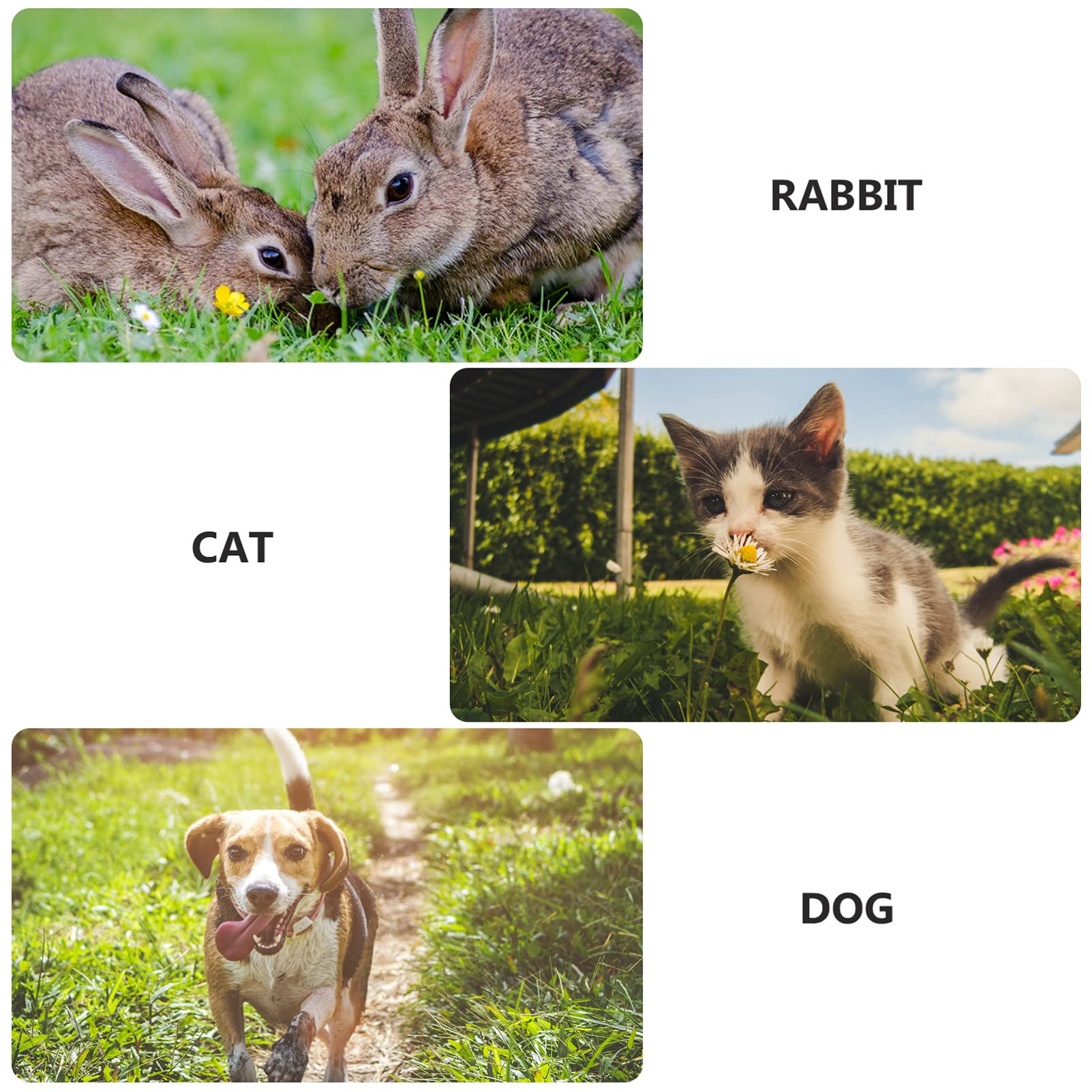 YARNOW 6 Pezzi Gabbia Per Animali Domestici Gabbia Per Animali Domestici Per Gatti Modulare in Rete Traspirante Per Piccoli Cani Cucciolo Recinto Casuale