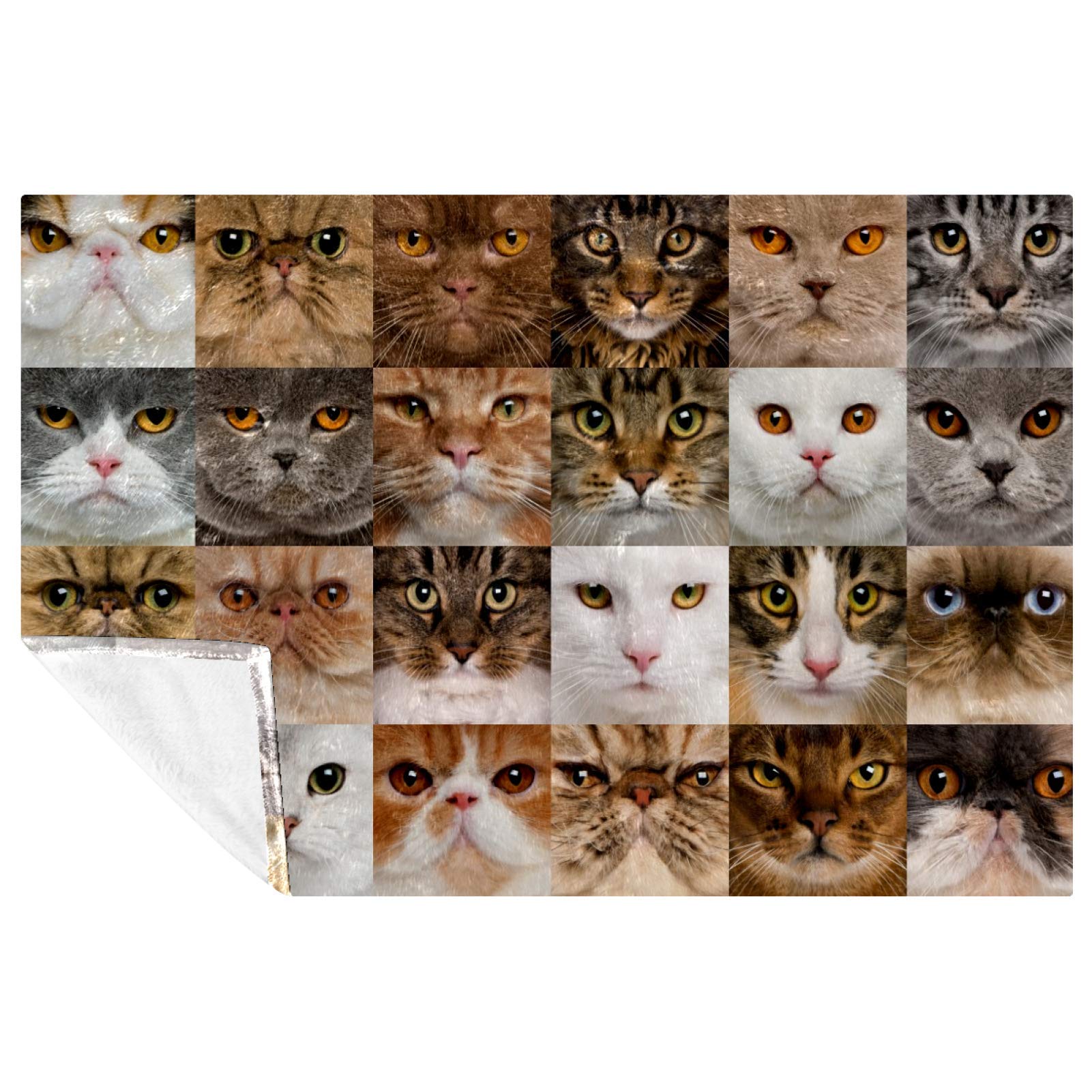 Couverture canapé motif chat plaid chaud pour pique-nique et lit