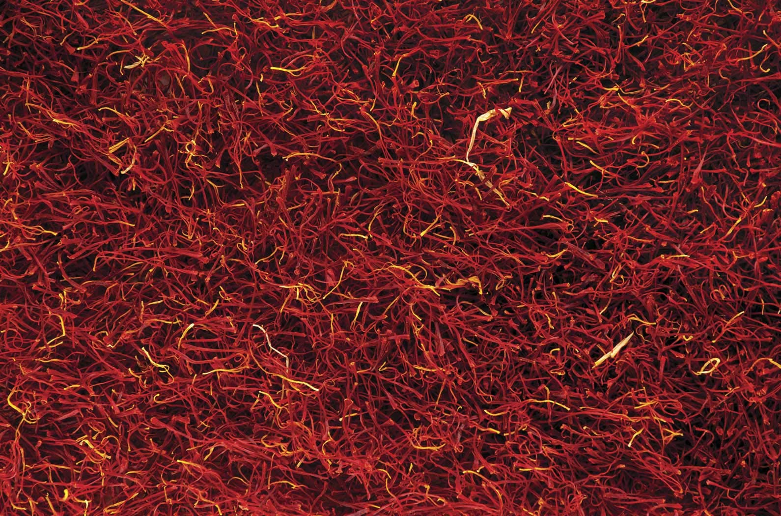 DAMUNE Zafferano Mediterranean - Categoria I Superiore - 8g - Nuovo Raccolto