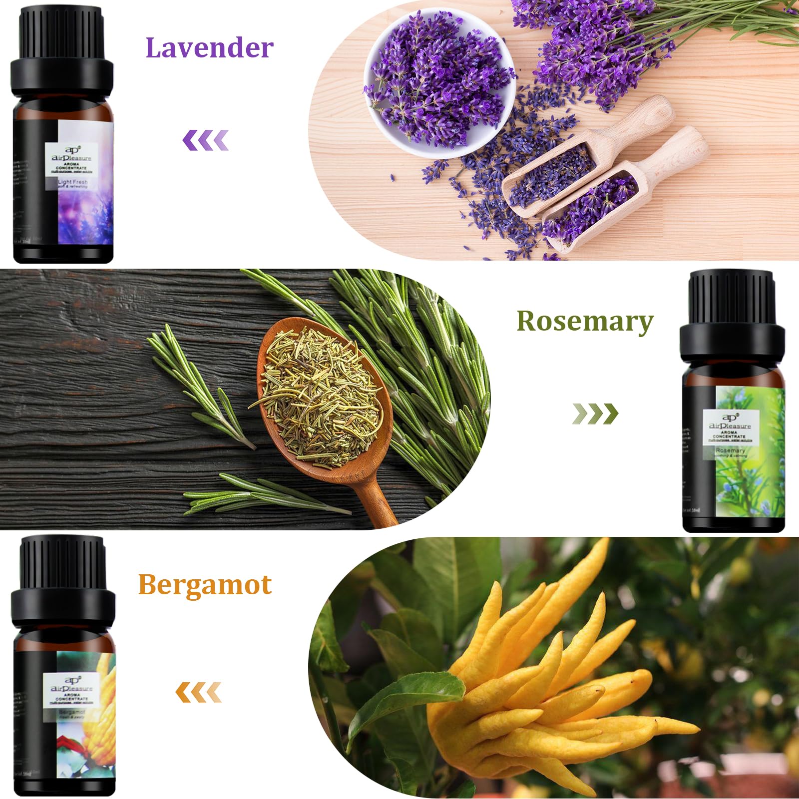 Amazon.com: ap airpleasure Fresh Essential Oils Set, 6x10ml