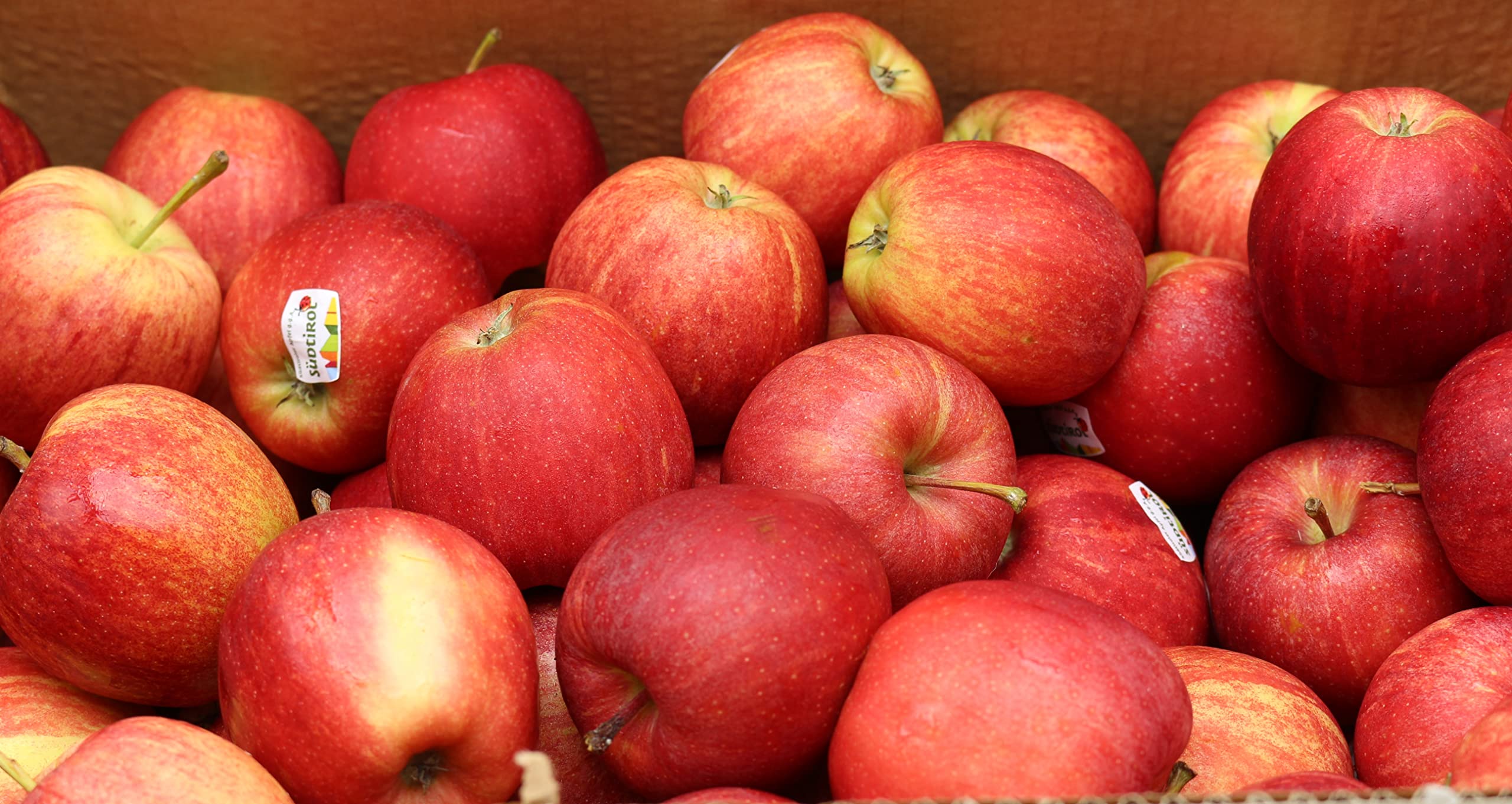 Äpfel Süd Tirol Royal Gala Aktuell Ernte - frische Apfel Holz Kiste 15 Kg