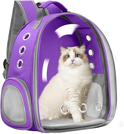 capsule backpack