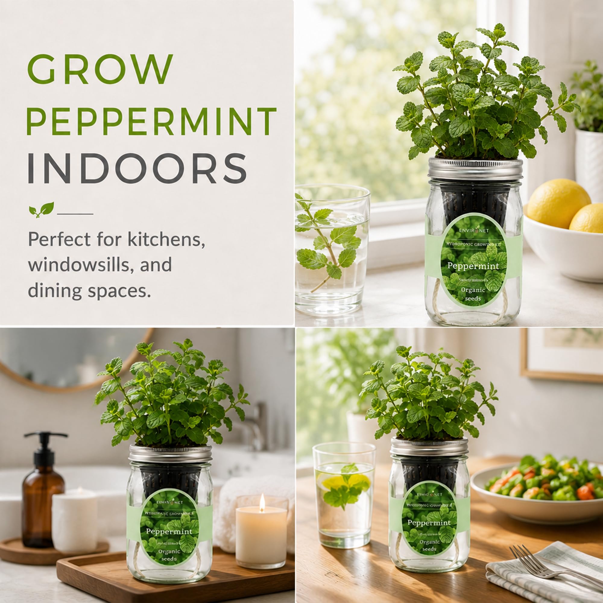 Kit per la coltivazione di erbe idroponiche, kit per la coltivazione di erbe aromatiche da giardino con vaso autoirrigante, per coltivare le tue erbe dai semi (menta piperita)