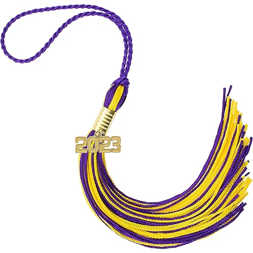 Tassel Depot 2023 Purple/Gold Graduation Tassel - Every School Color Available - Made in USA