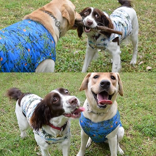 Vista 5 de Camisas refrescantes para perros, camisas para perros extra pequeñas, ropa para perros machos y hembras, camisetas refrescantes para Yorkie