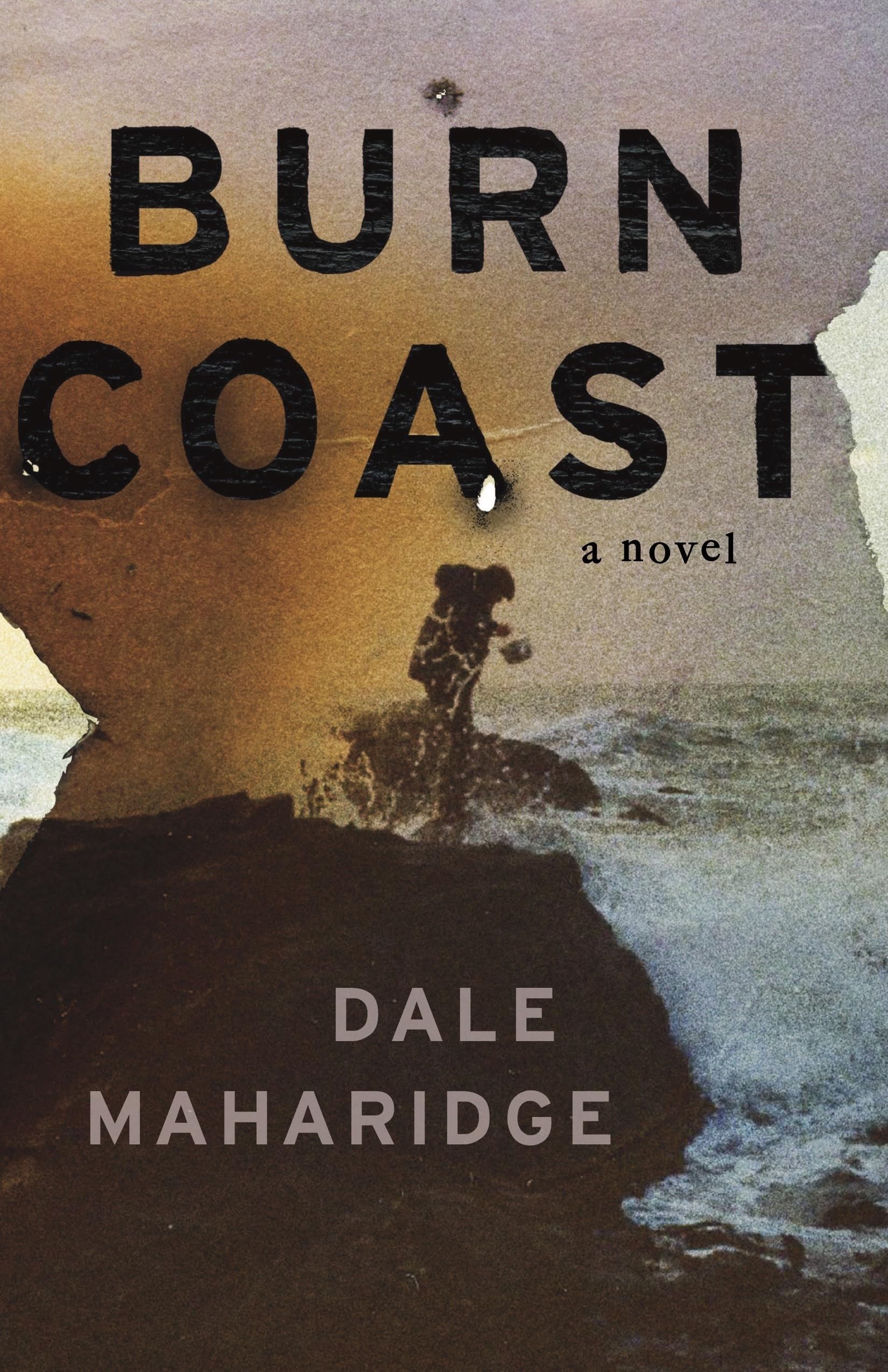 Buy Burn Coast — BookShops.in