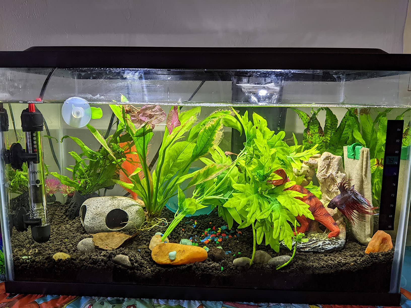 12/mo Finance Aqua Culture 10 Gallon Aquarium Starter Kit with LED Buy Now, Pay Later