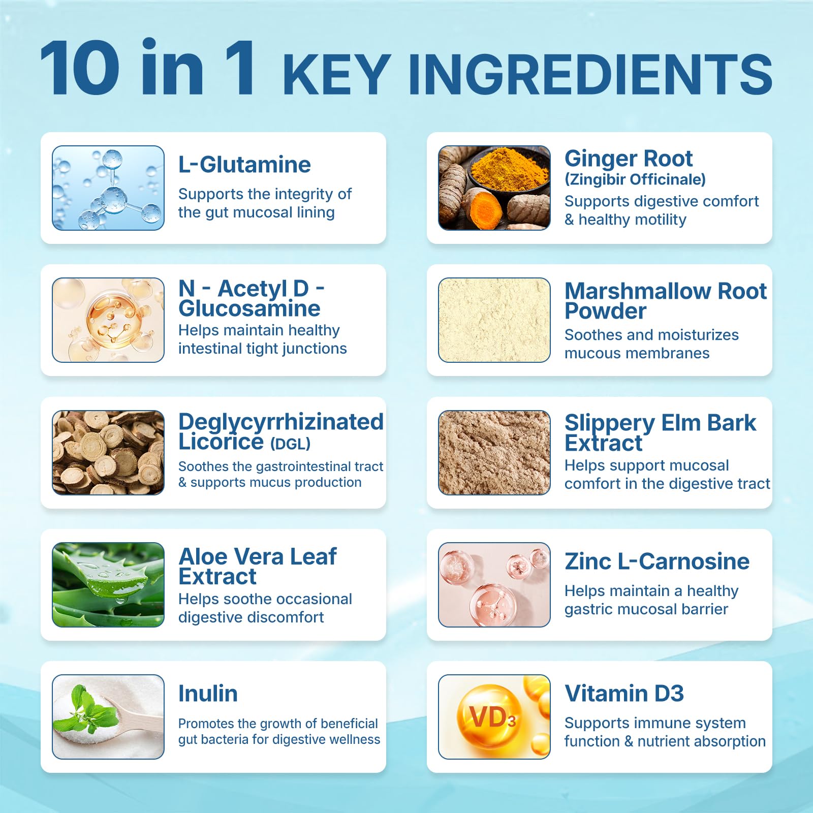 Amazon.com: Lifebooil Leaky Gut Powder with L-Glutamine, Prebiotic, Licorice, Slippery Elm Bark for Gut Health & Digestive Health, Super Gut Powder Unflavoured Amazon.com: Lifebooil Leaky Gut Powder with L-Glutamine, Prebiotic, Licorice, Slippery Elm Bark for Gut Health & Digestive Health, Super Gut Powder Unflavoured