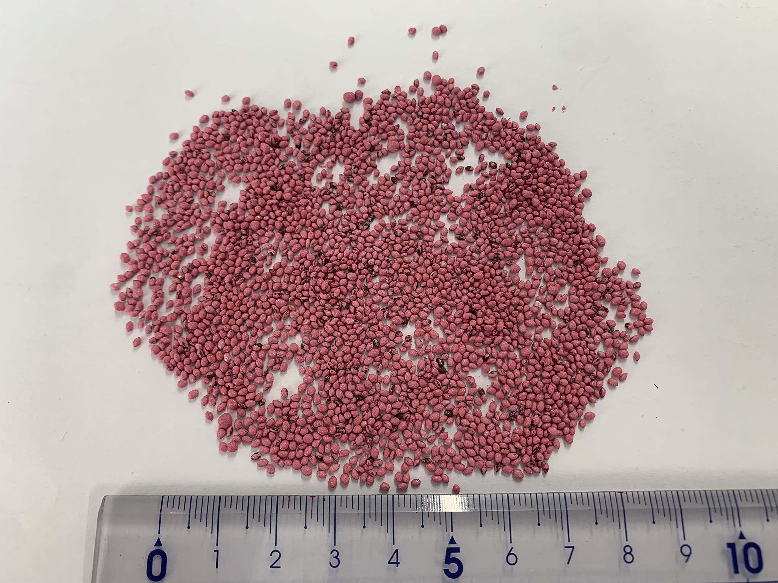 Amazon.co.jp: カネコ種苗 センチピードグラス 1kg コート種子 芝種 