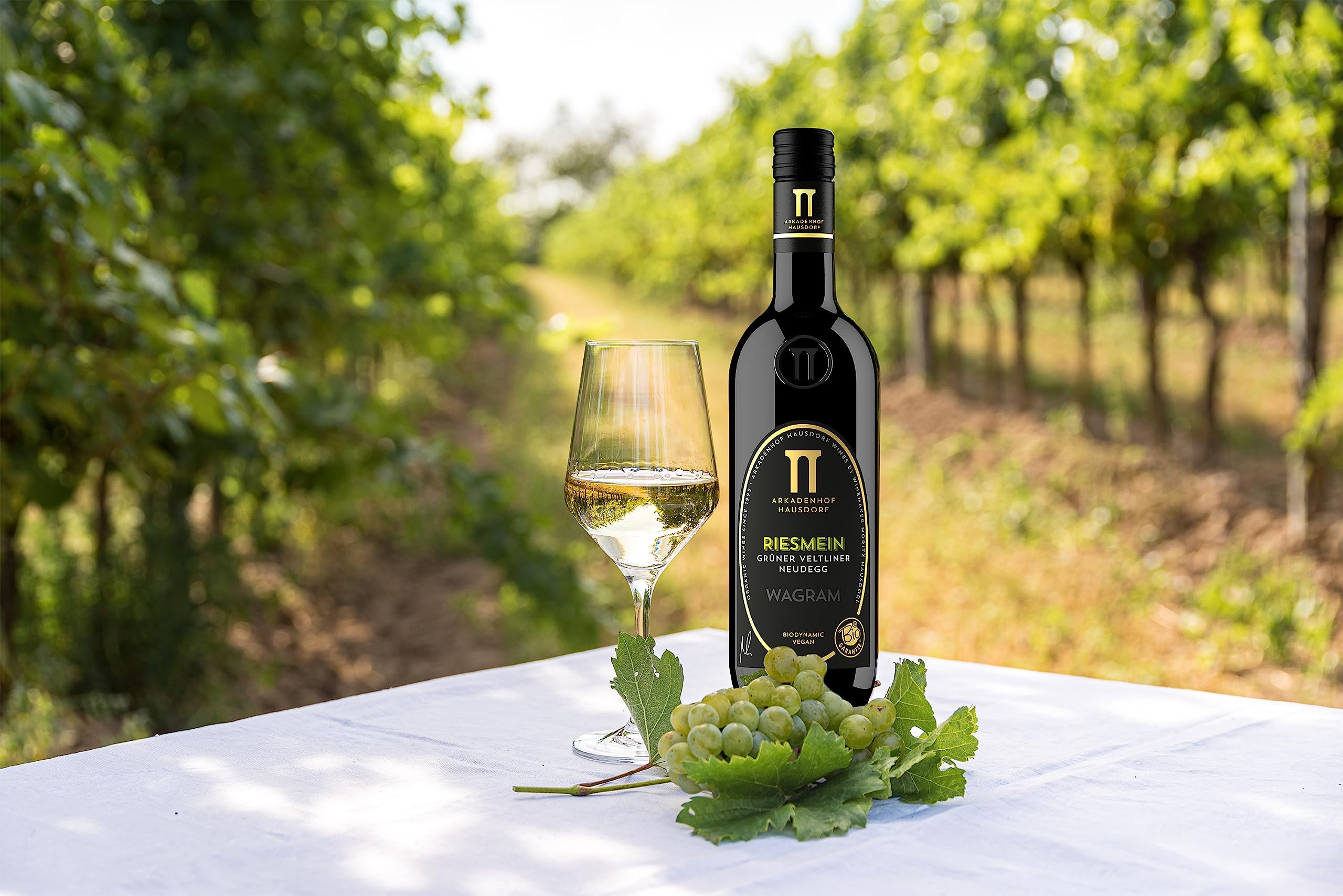 Grüner Veltliner Riesmein - Der Wohltuende | Bio Weißwein trocken | histaminfrei, biologisch, vegan, handlese | Qualitätswein aus Österreich, Wagram (3x 0.75l)