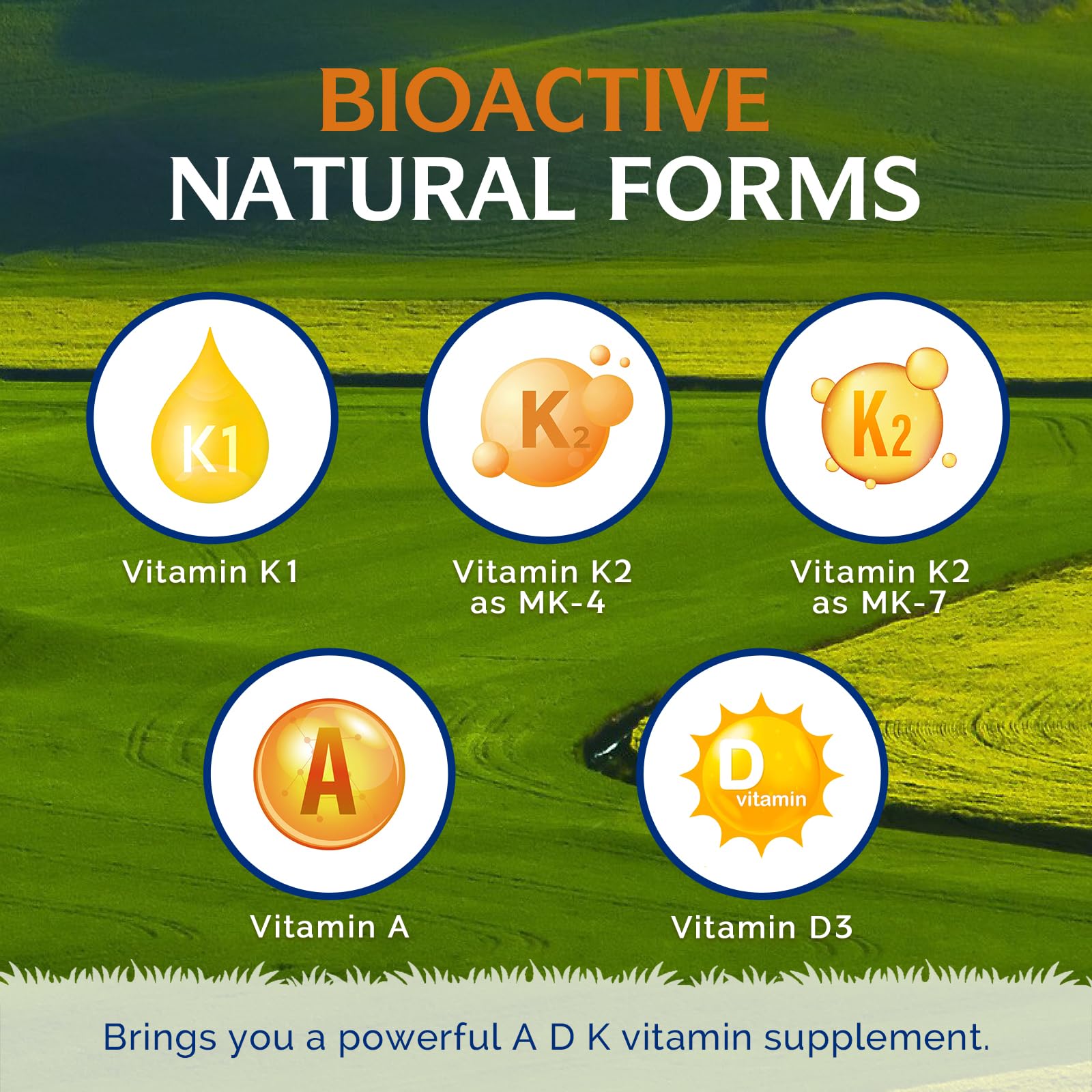 Innate Vitality K Ultra, K1 & K2 D3 Vitamin Supplement with Vitamin A, Vitamin D3 K2 5000 IU for Healthy Bones, Proper Calcium Metabolism, Full Spectrum, Non GMO, 60 Mini Softgels — Amazon image 3