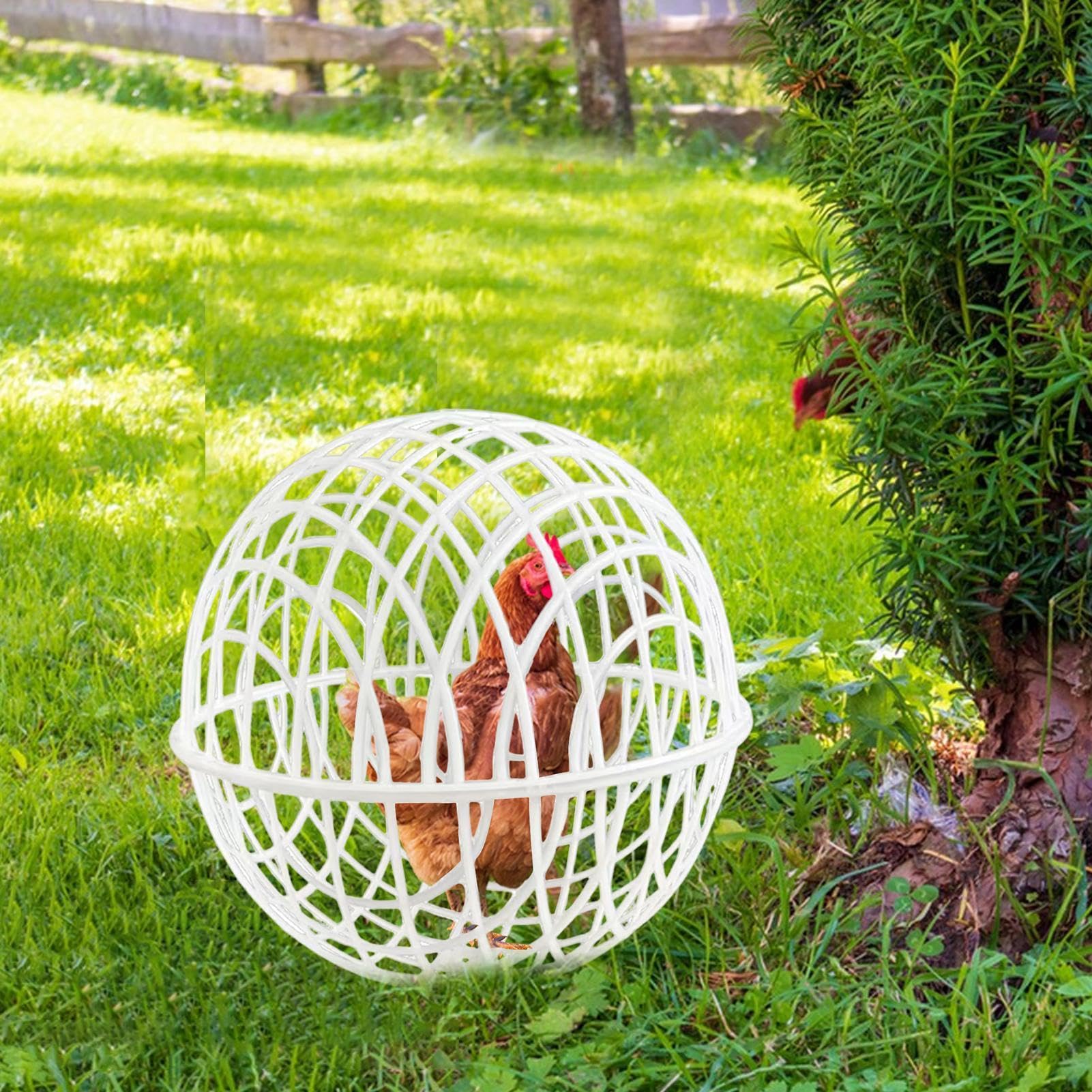 Pollaio portatile sferico – Gabbia per pollame rotonda arrotolabile | Gabbia esterna rimovibile per fattorie e giardini, recinzione mobile a prova di predatori per piccoli animali 3 pezzi