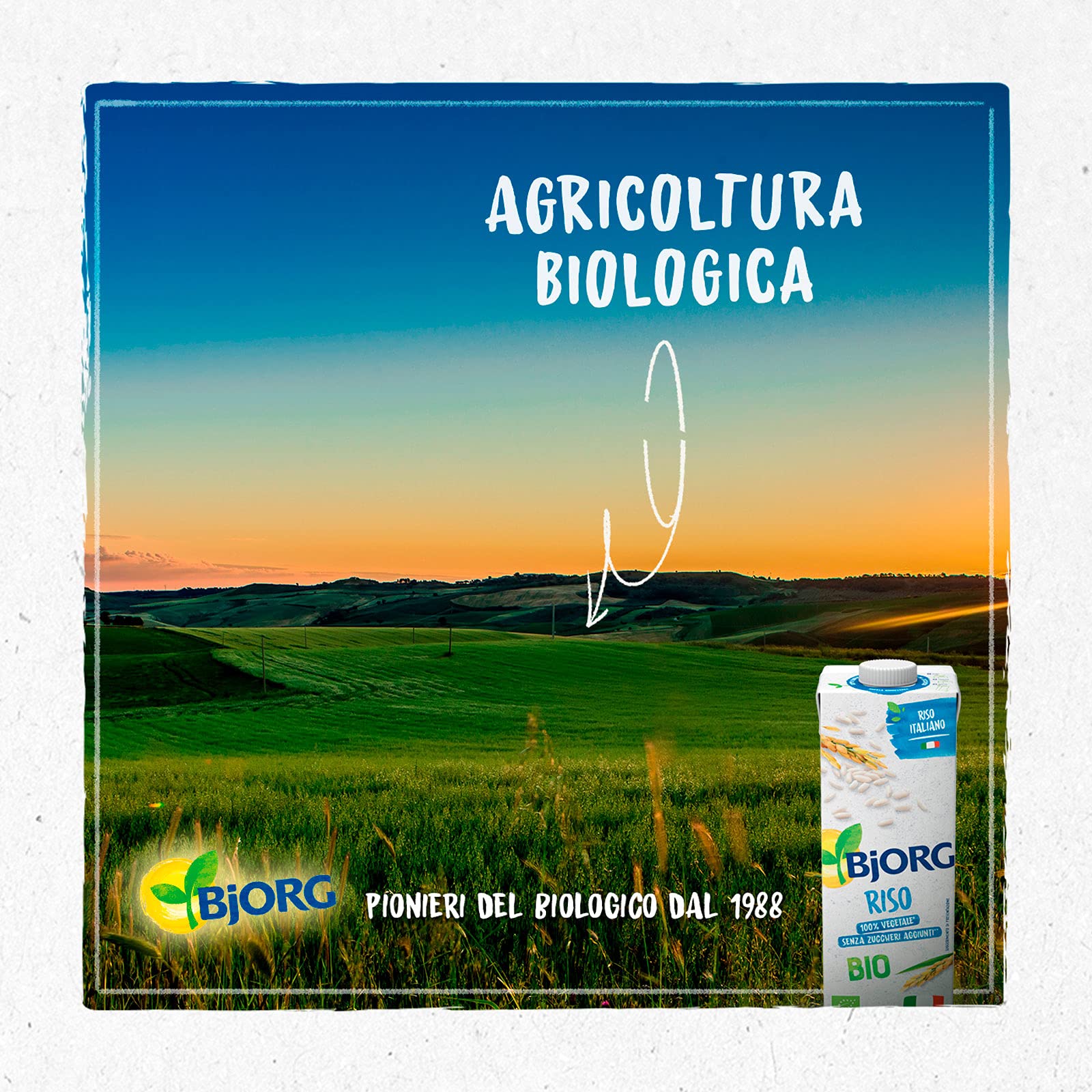BJORG Bevanda di Riso, Vegetale, a Basso Contenuto di Grassi, Senza Zuccheri Aggiunti, Senza Glutine, Vegan, Prodotto in Italia, 1L