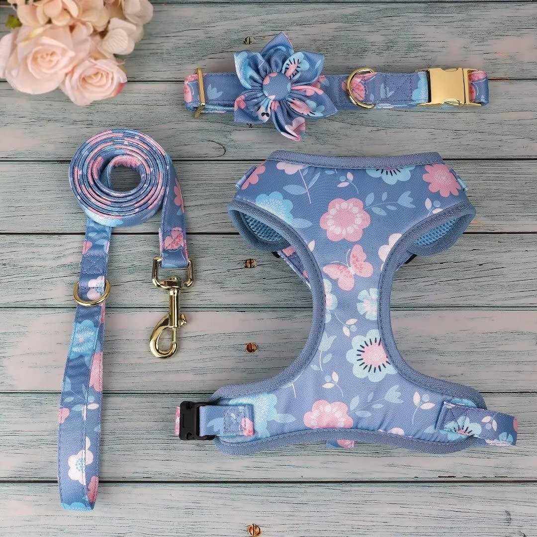 Beirui Cute Girl Ensemble de Colliers, Harnais et laisses pour Chien – Ensemble Collier et Laisse réglables avec Fleur – Harnais en Maille Douce pour Chiots et Chiens de Petite et Moyenne Taille