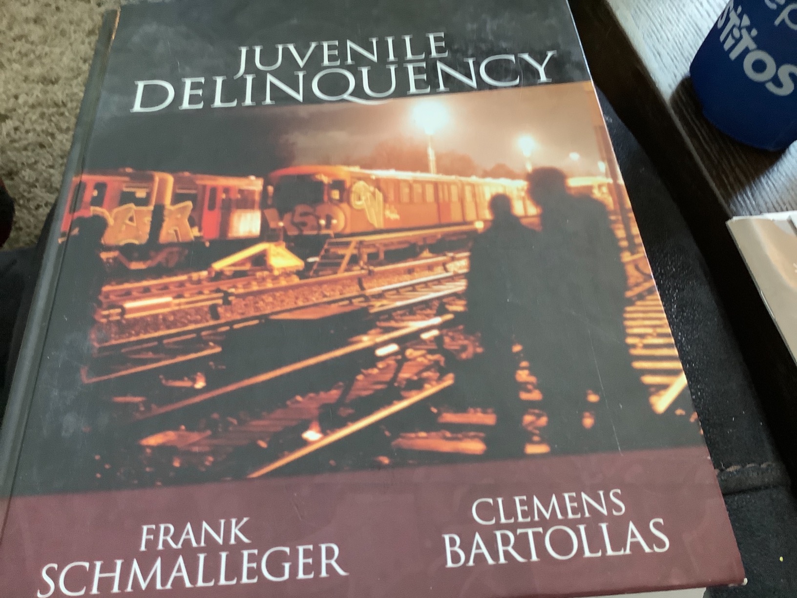 Juvenile Delinquency Instructor's Annotated Edition: Schmalleger, Frank, Bartollas, Clemens F ...
