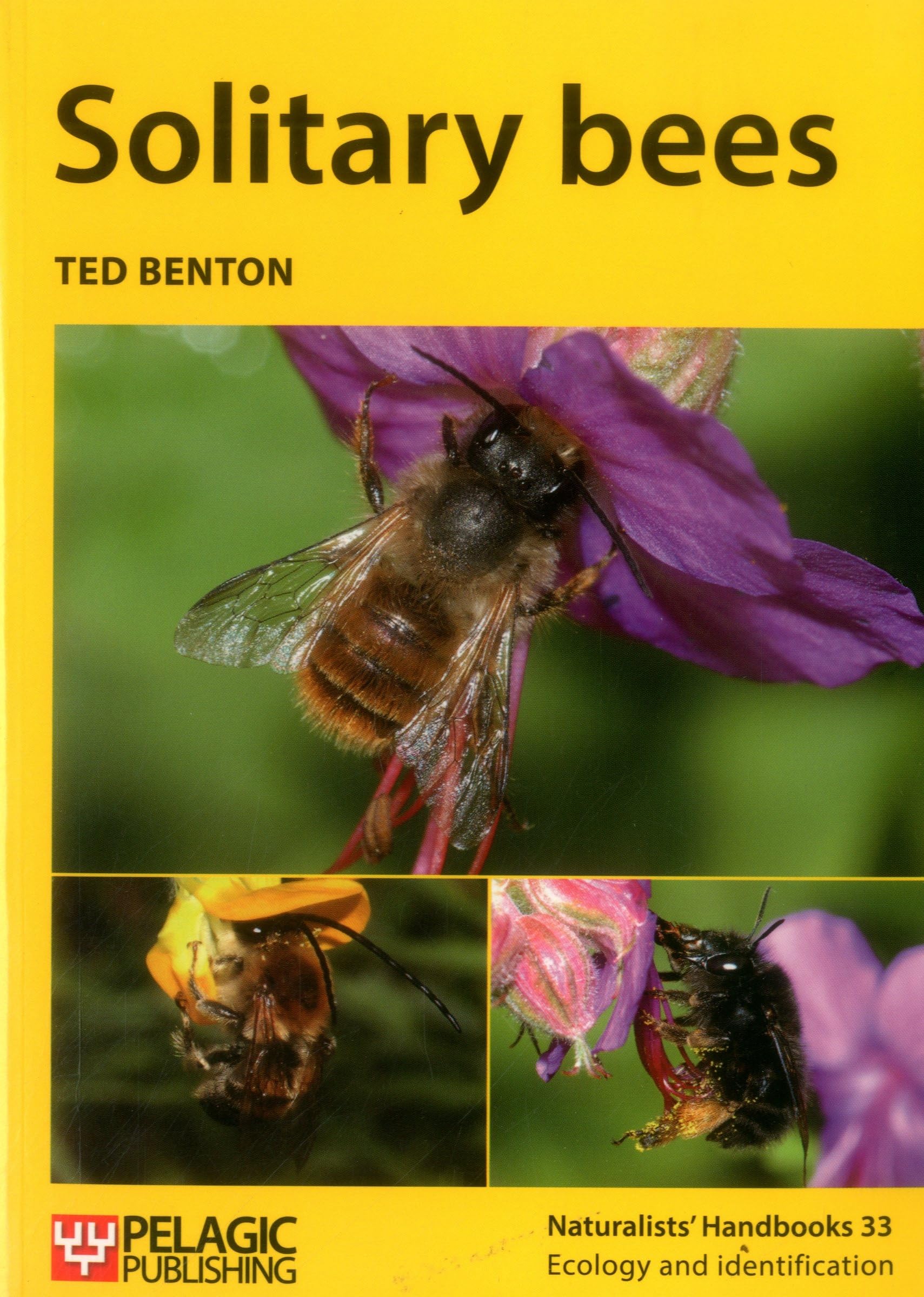 Solitary Bees (Naturalist's Handbooks, 33)