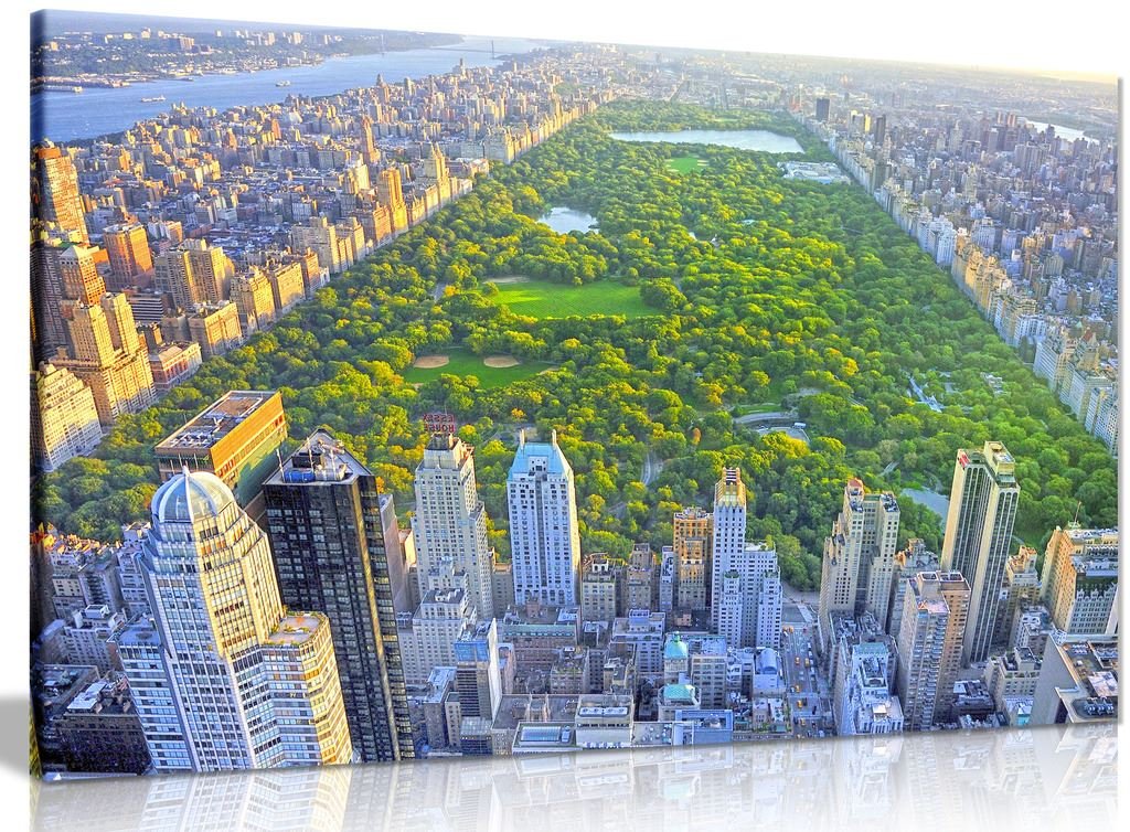 Panther Print New York Central Park Canvas Wall Art Picture Print (36X24in)