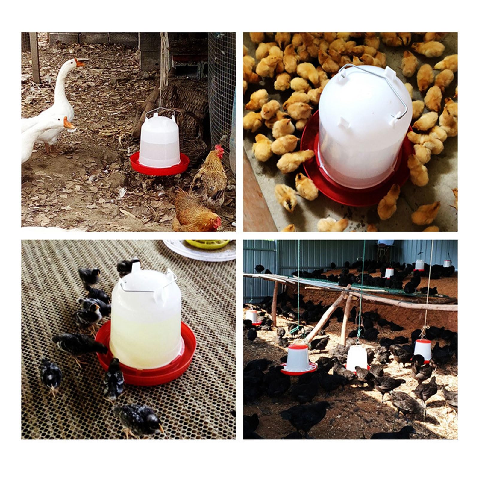 Alimentation en eau pour volaille Fontaine automatique à économie d'eau pour oiseaux : Station d'alimentation pour poulets