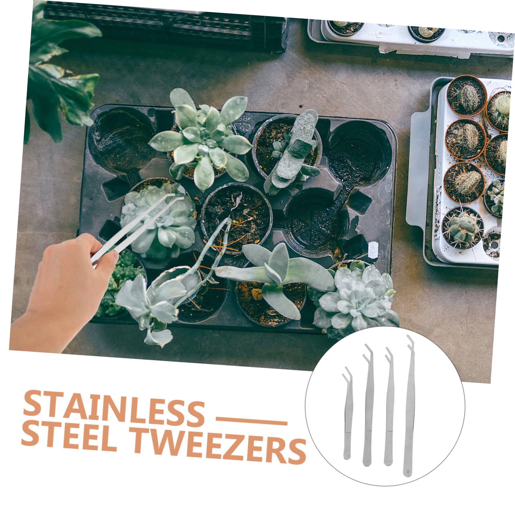 CIYODO 4Pcs Gardening Tweezers Professional Planting Tools for Bonsai Succulent Care Garden Maintenance Stainless Steel with Curved Straight Tips Portable Gardening