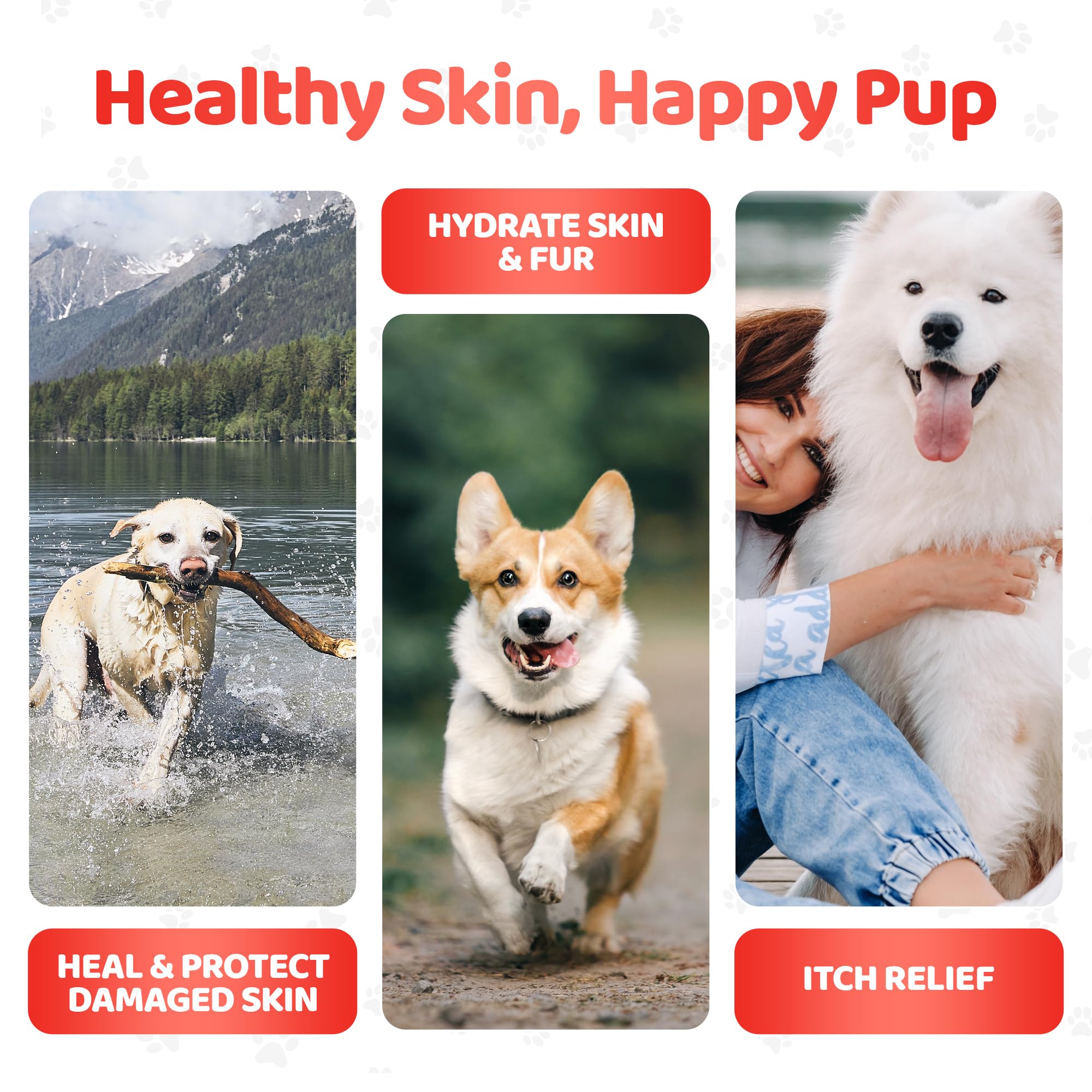 Complément Alimentaire Chien Peau et Pelage | 140 Comprimés | Oméga 3-6, Biotine, Huile de Saumon | Anti-Démangeaisons | Brillance Poil | Toutes Races | DogsLife