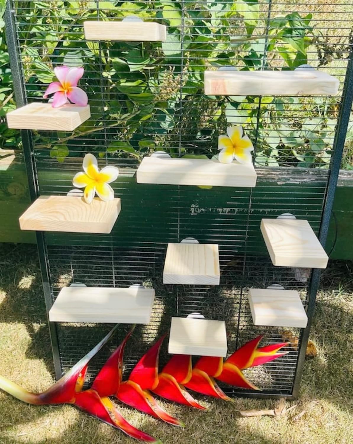 10 Piece Kiln Dried Pine Wood Ledges, Platform, Steps for