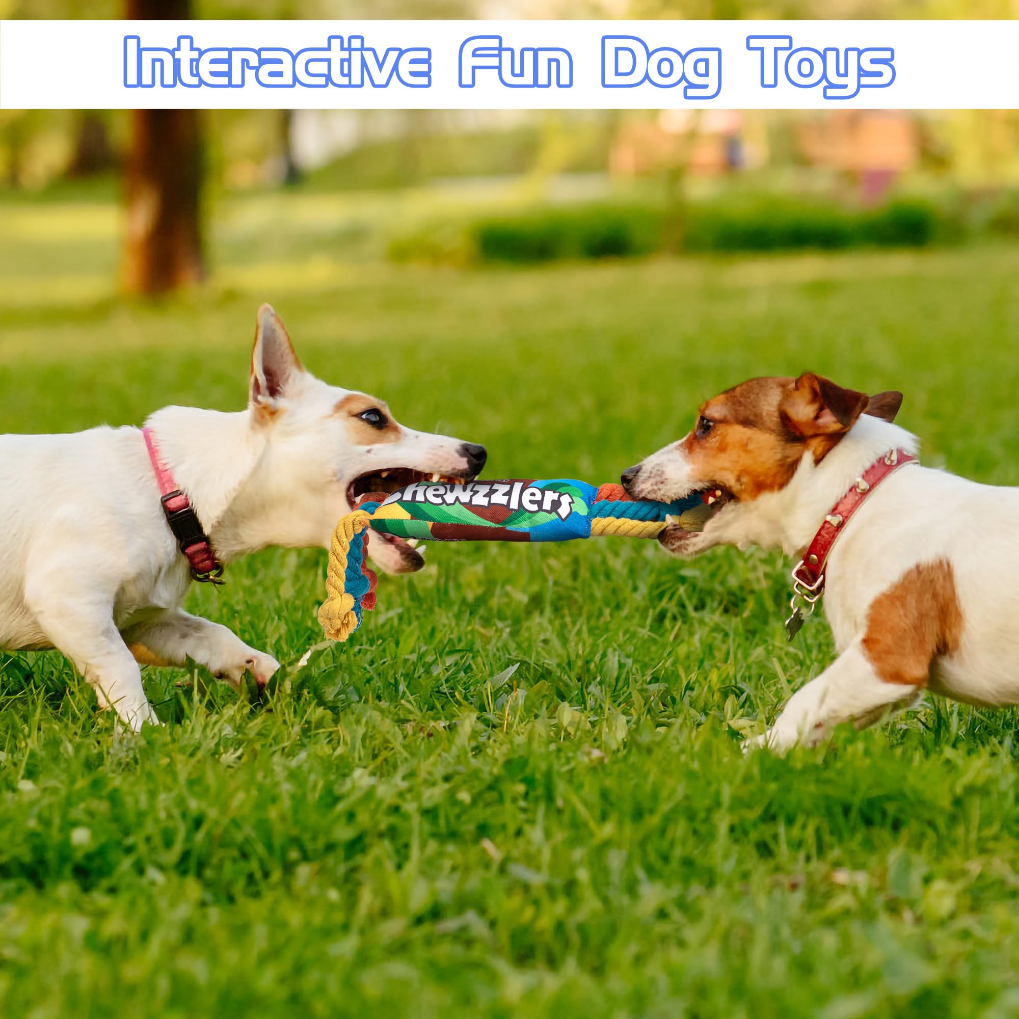 Giocattoli Di Corda Per Cani 3 Pezzi - Gioco Interattivo Durevole Per Masticare, Pulire Denti E Ridurre Ansia - Foto 6