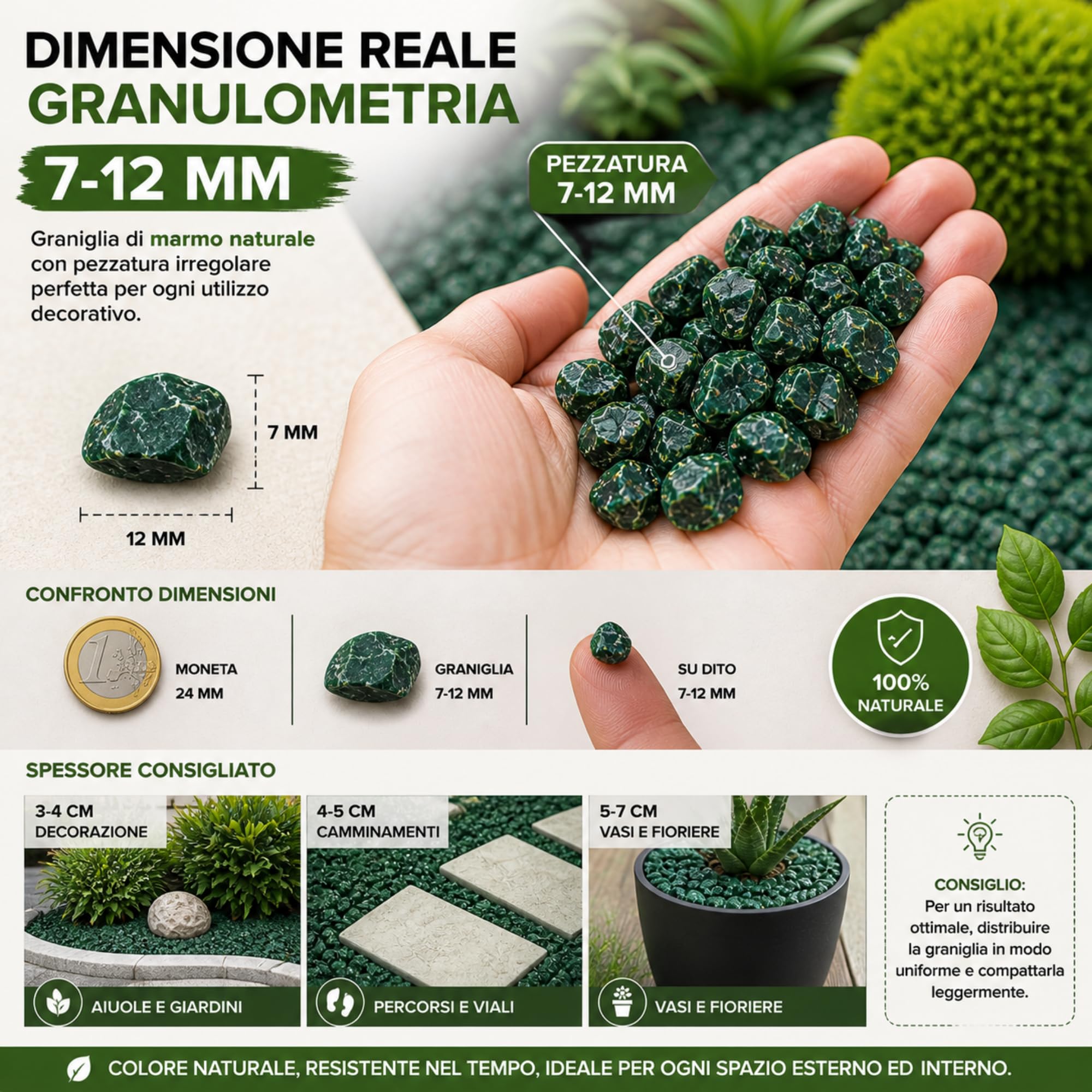 Clorophilla Marmo Verde Alpi Pre-Lavato 7-12 mm – Graniglia Decorativa Naturale per Vasi, Aiuole e Giardini – Pietre Decorative Verdi per Interni ed Esterni (1,5 KG)