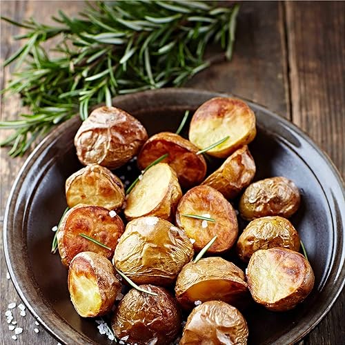 Miniatura 8 de AeroGarden - Kit de semillas